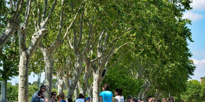 santaperpetua parccentral