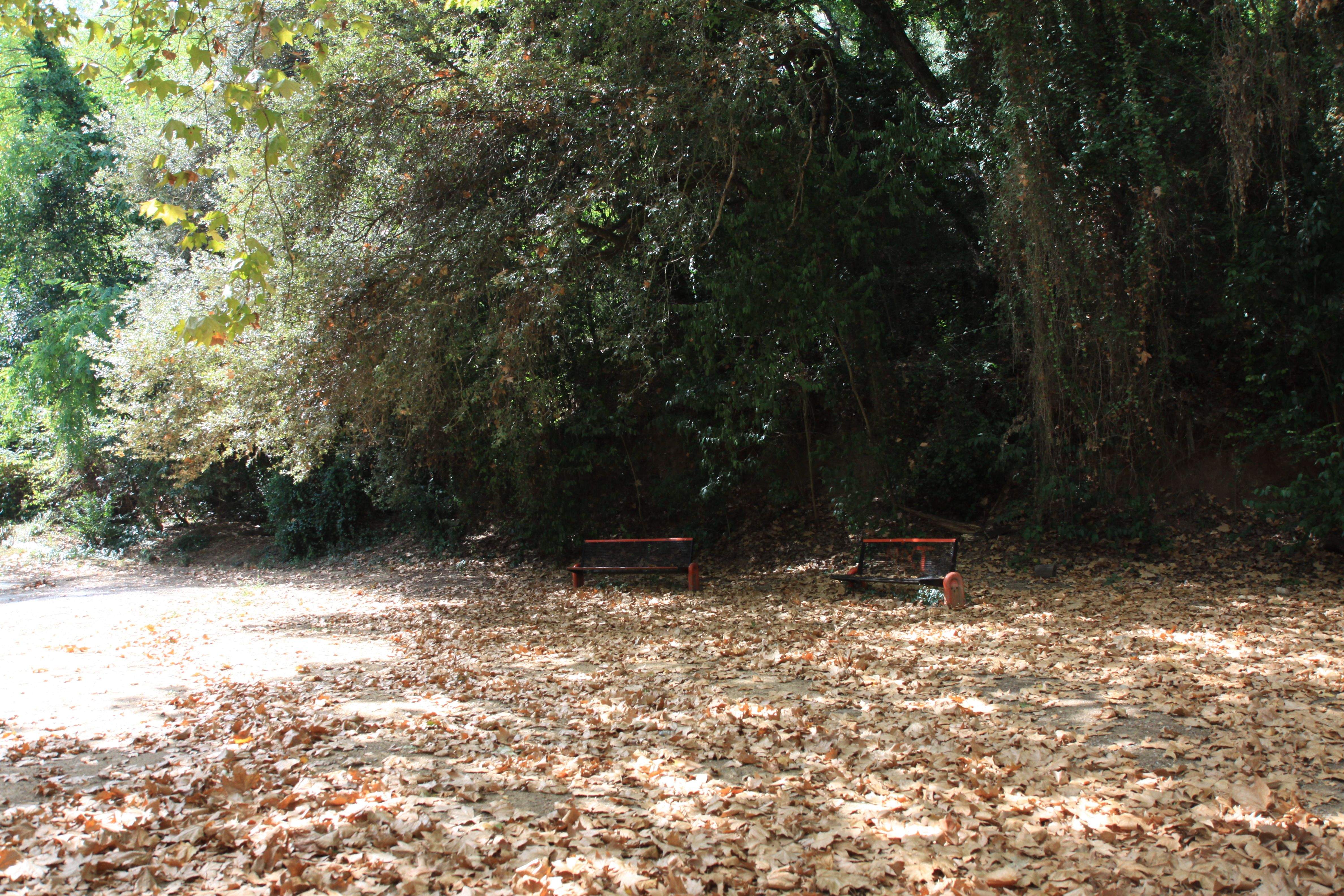 Zona de descans de la Font de la Bonaigua. Foto: Laia Jubany