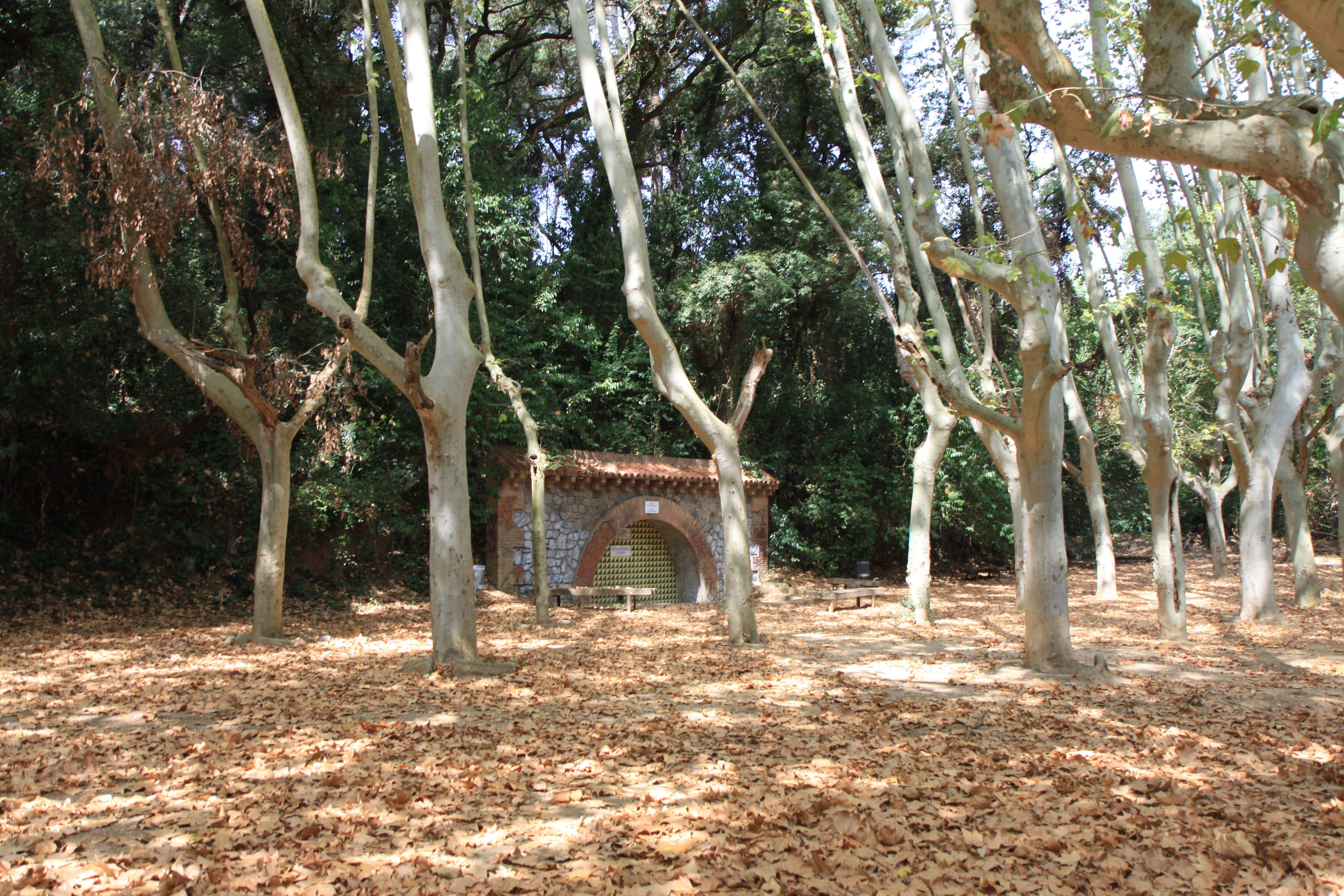 Font de la Bonaigua. Foto: Laia Jubany