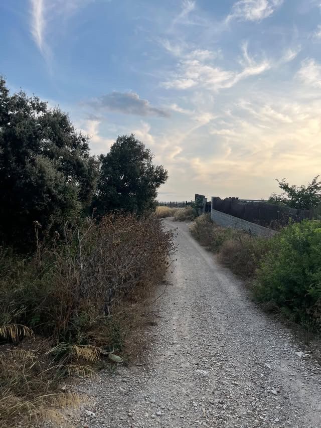 Puig de la Guardia. Foto: Clara Balust