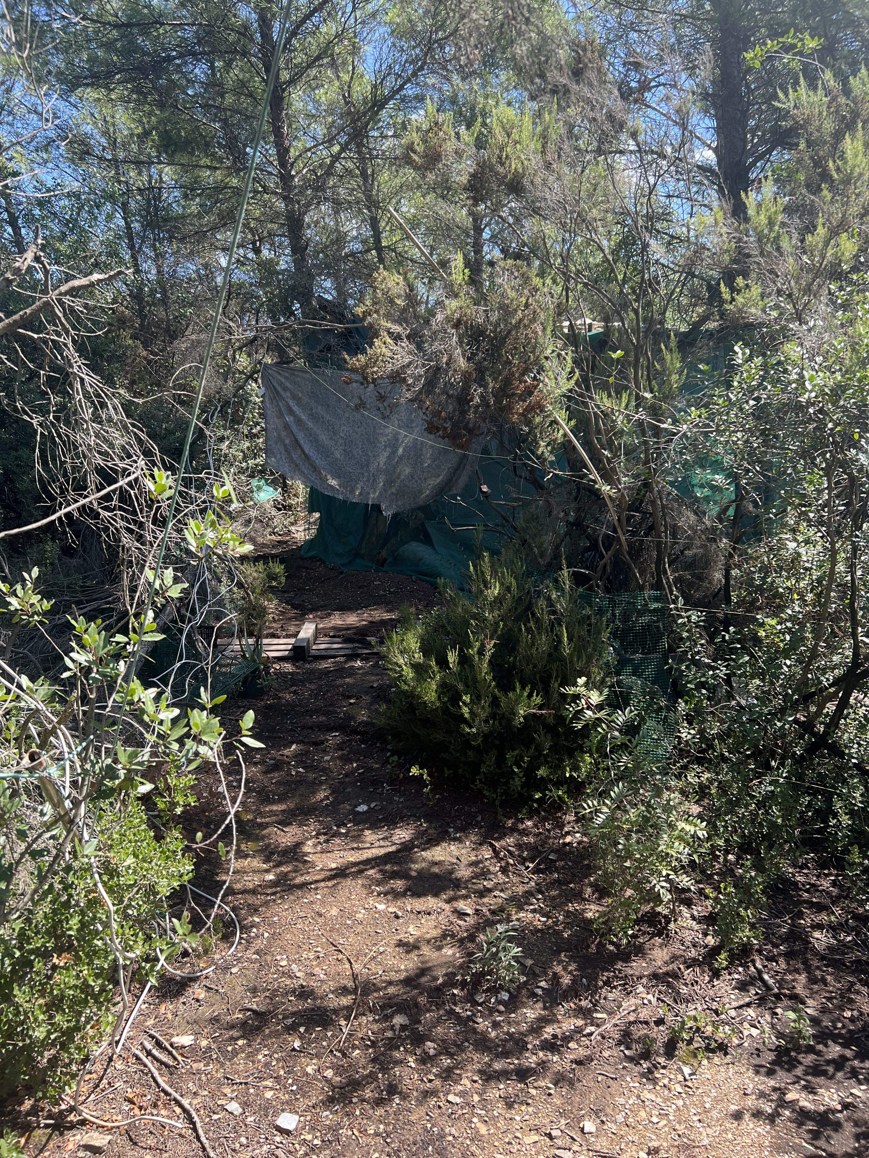 Entrada d'una de les construccions localitzades a la Serra de Collserola, en una zona propera a Canaletes. FOTO: Albert Jiménez