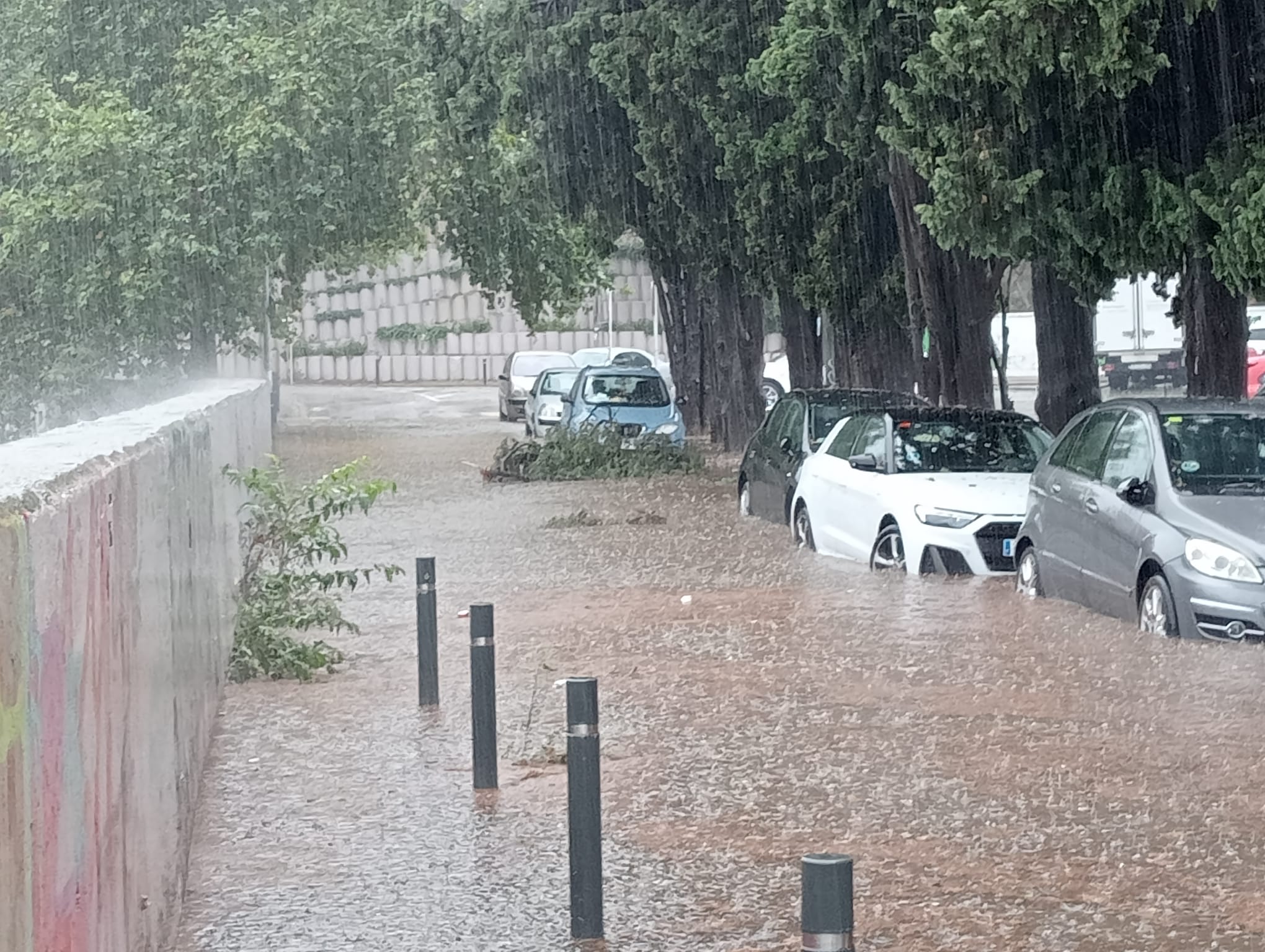La forta tempesta d'aquest dissabte amb vents huracants deixa arbres caiguts, pedregada i inundacions. Foto: Marc Mata