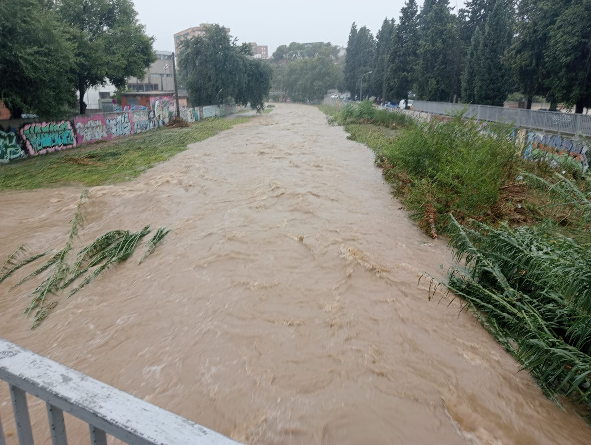Rius plens a Cerdanyola per la forta tempesta. FOTO: Cedida