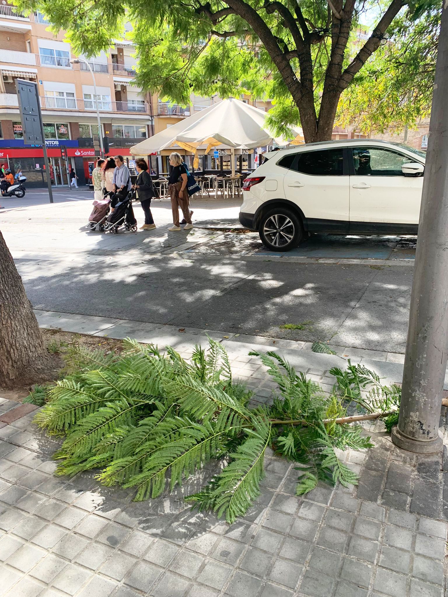 El dijous 23 el vent, que havia fet caure branques, bufa violentament el tendal del cafè Gaucho a l’avinguda de Catalunya. Foto: Judit Josa.