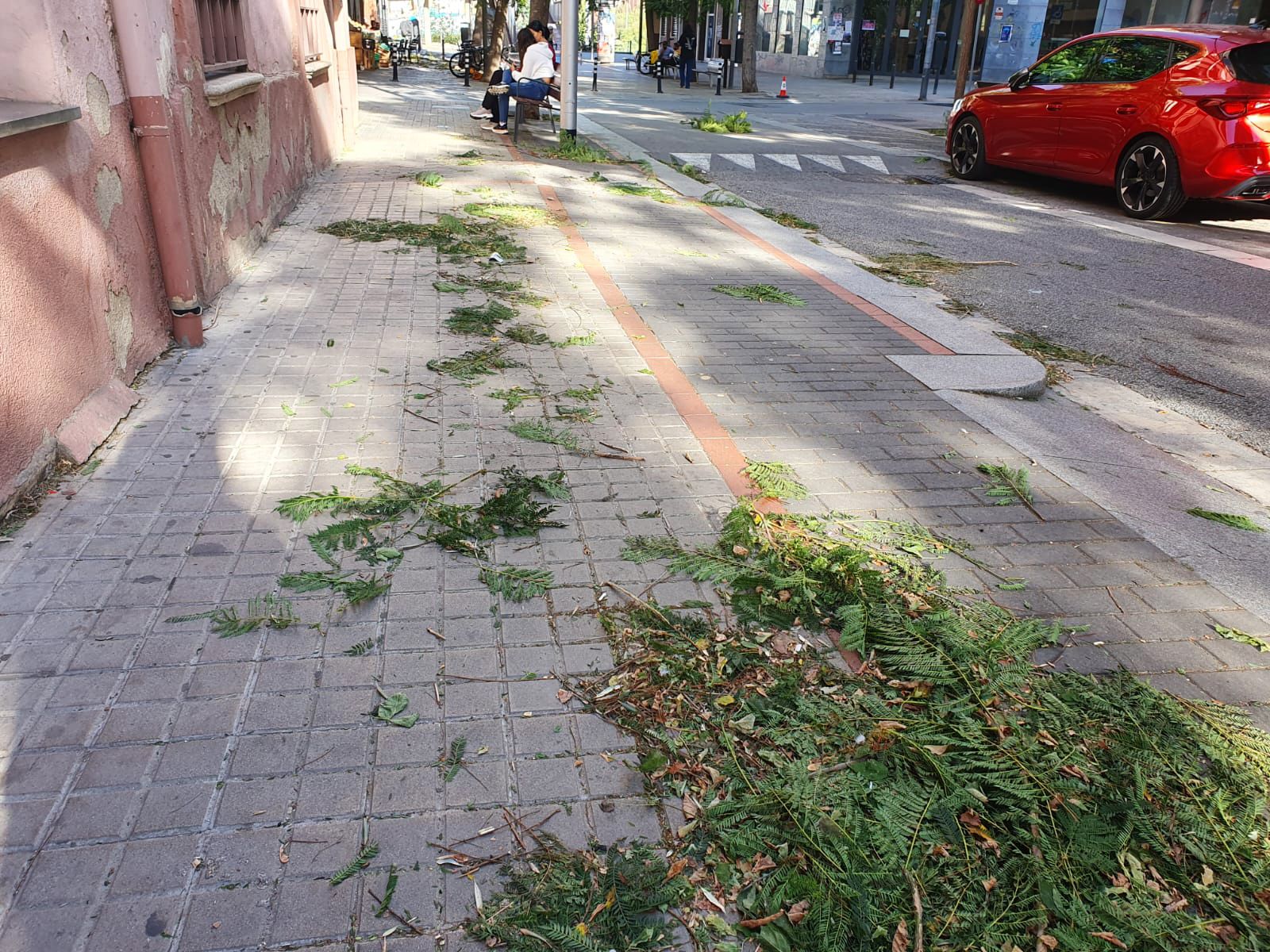 Aspecte de l'Avinguda de la Creu Roja, el dia de la ventada, dijous 23. Foto: Judit Josa,