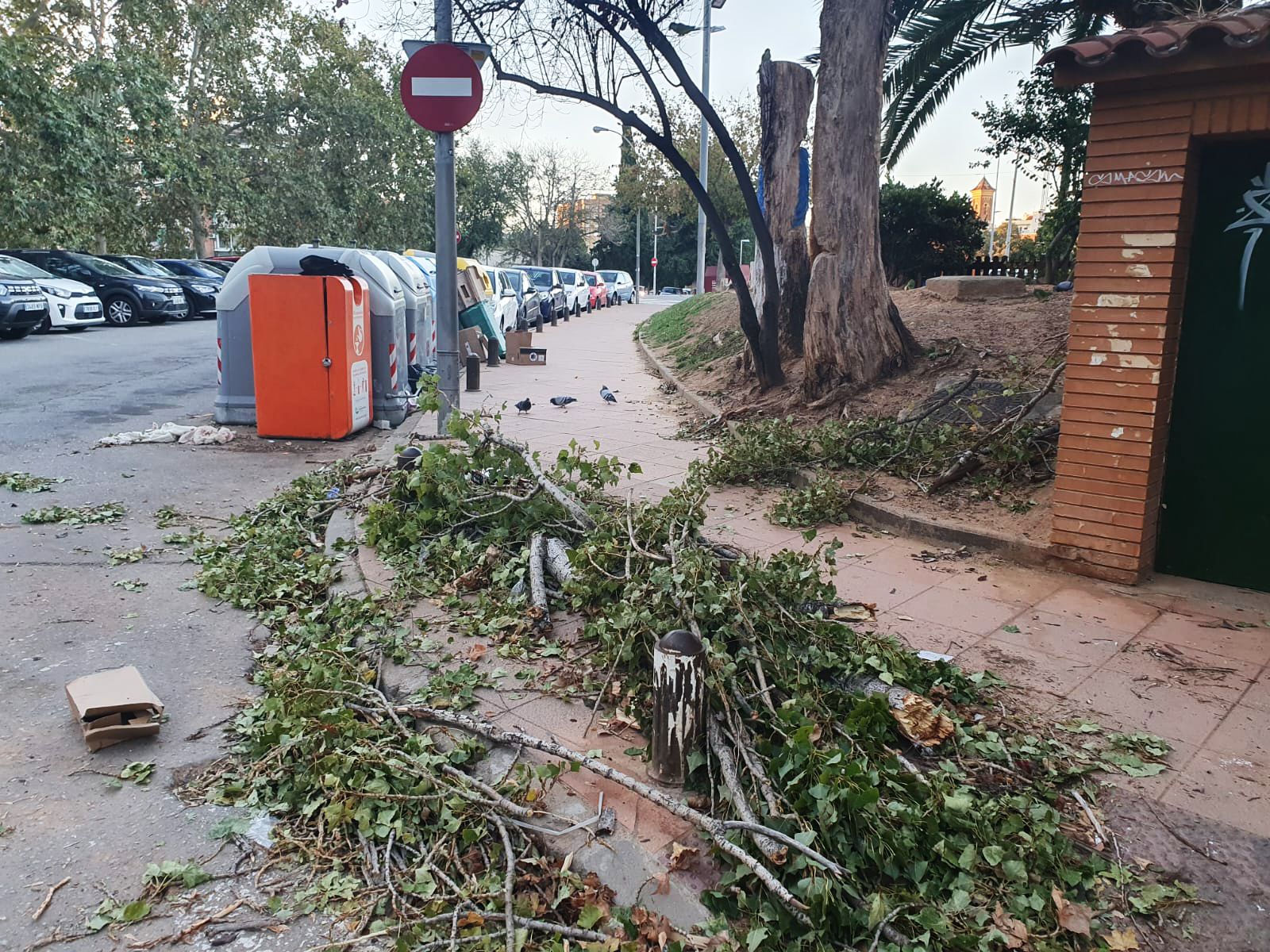 Fulles i branques acumulades al passeig de la Riera, davant de la plaça de la Pau, l'endemà. Foto: Judit Josa.