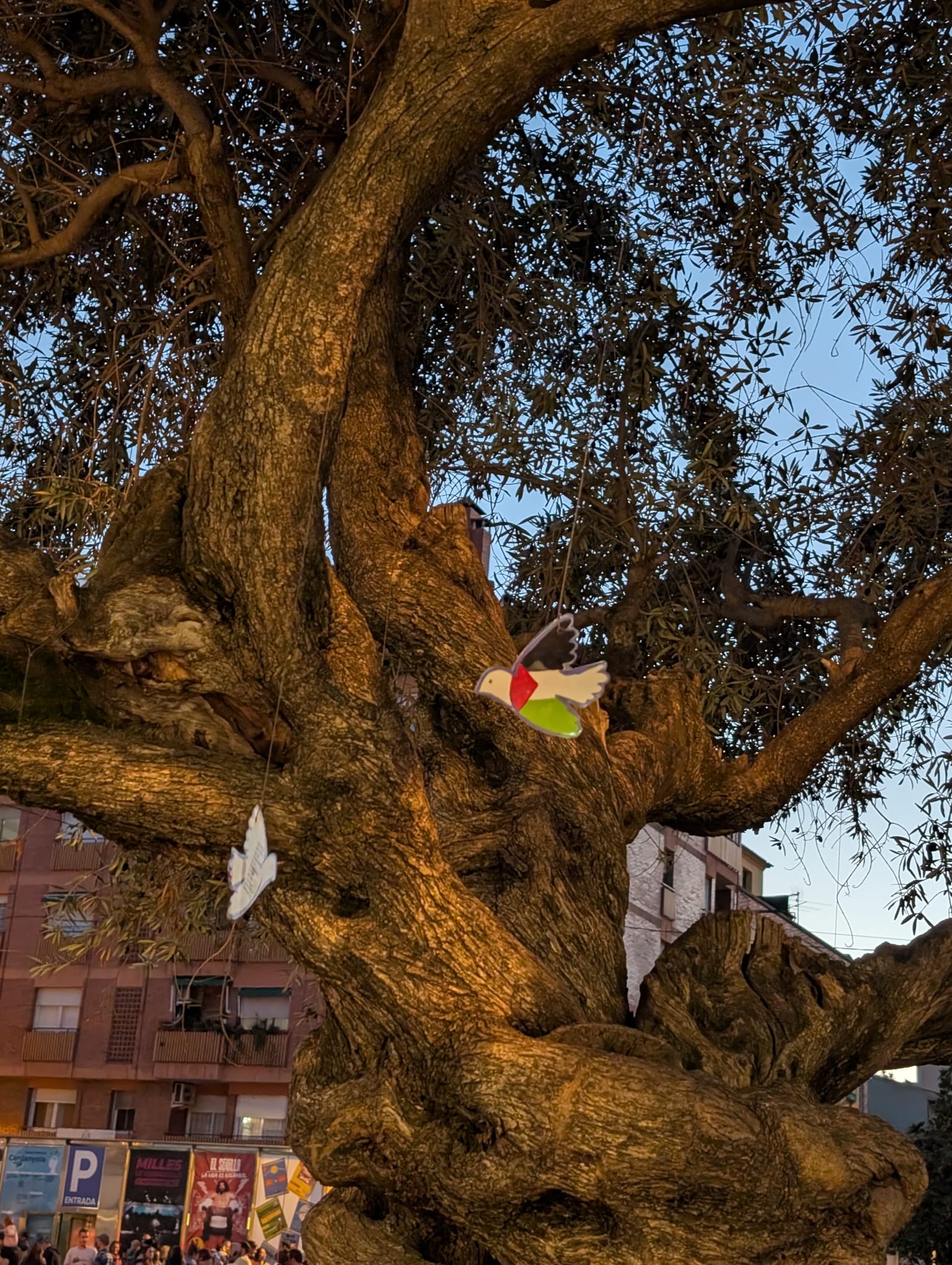 Espelmes, sabates i música en directe van omplir la plaça en record de les víctimes palestines. FOTO: Cedida