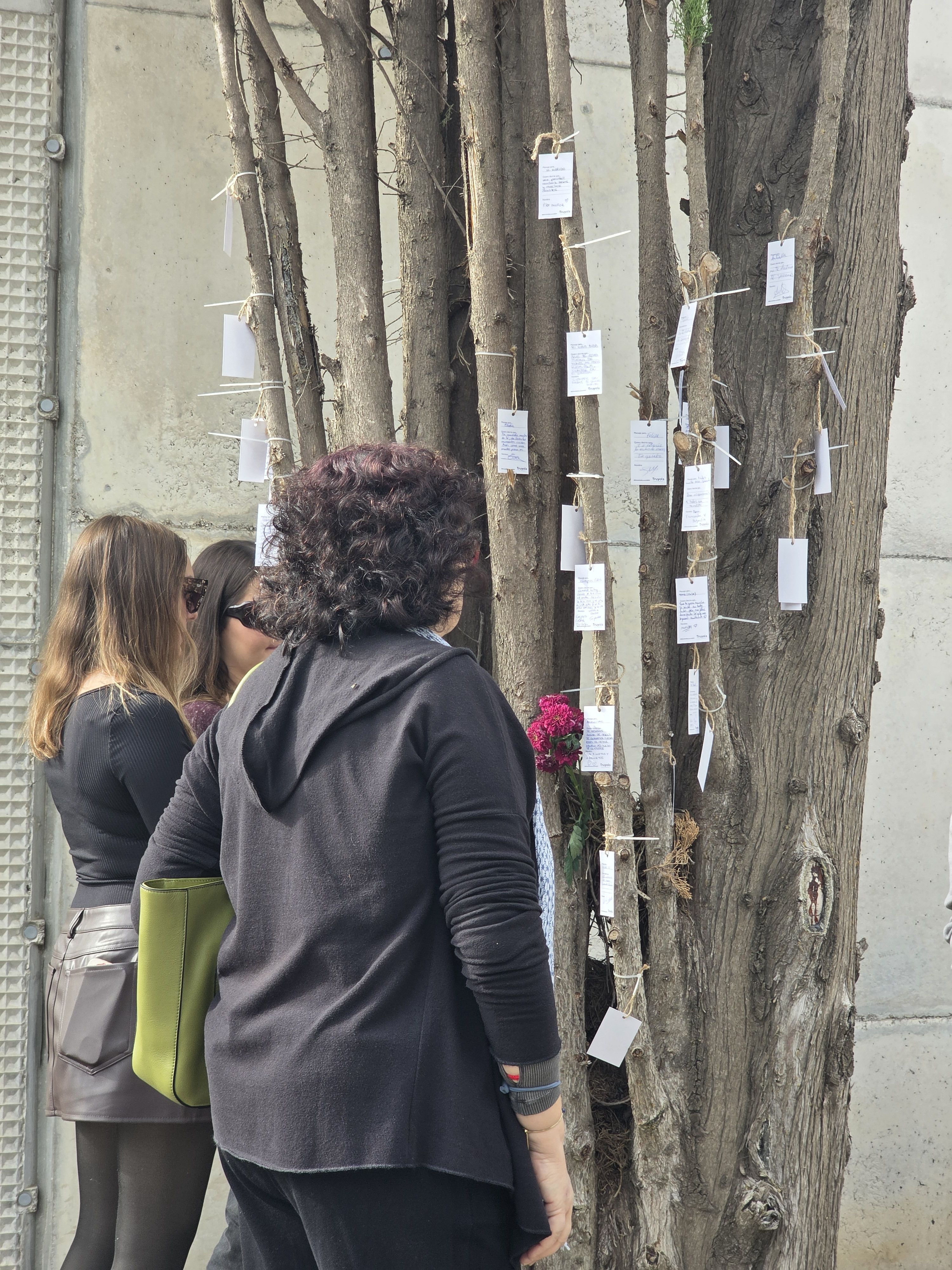 Dia de Tots Sants al cementiri municipal  Foto: Marc Mata
