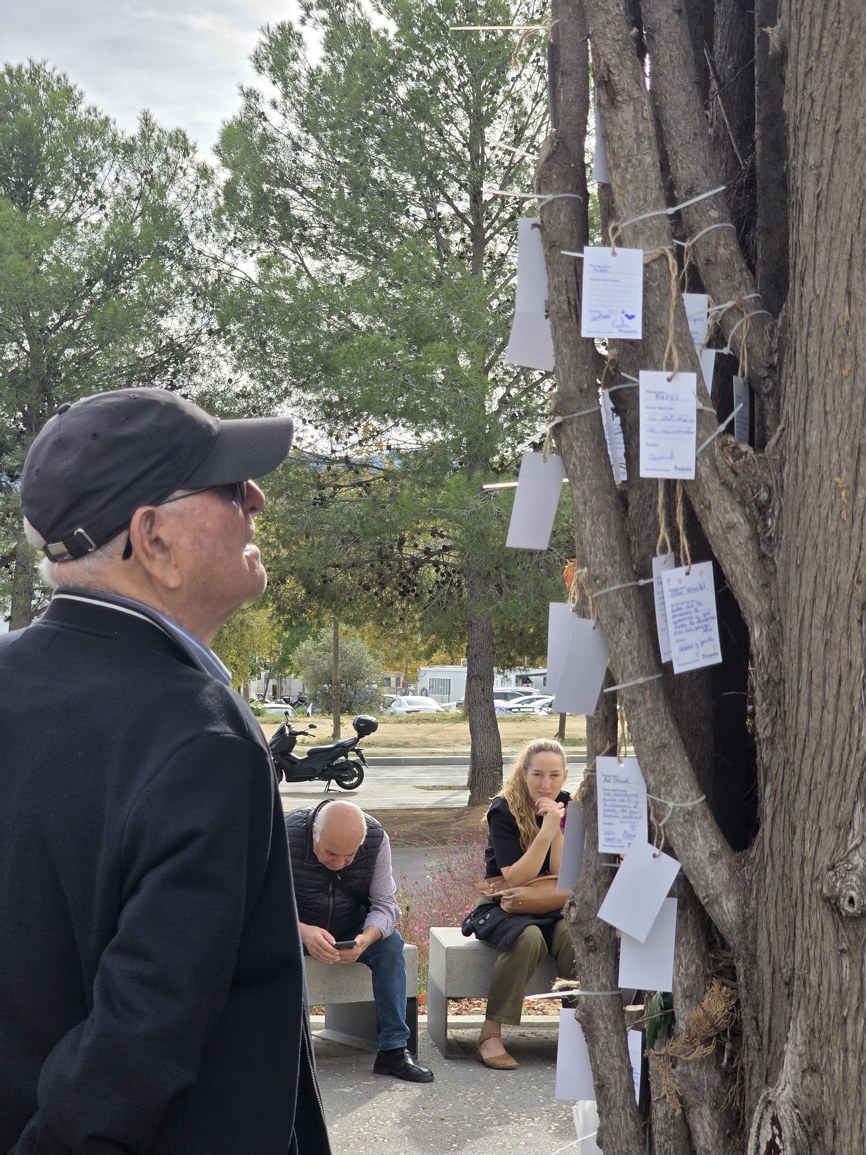 Dia de Tots Sants al cementiri municipal  Foto: Marc Mata