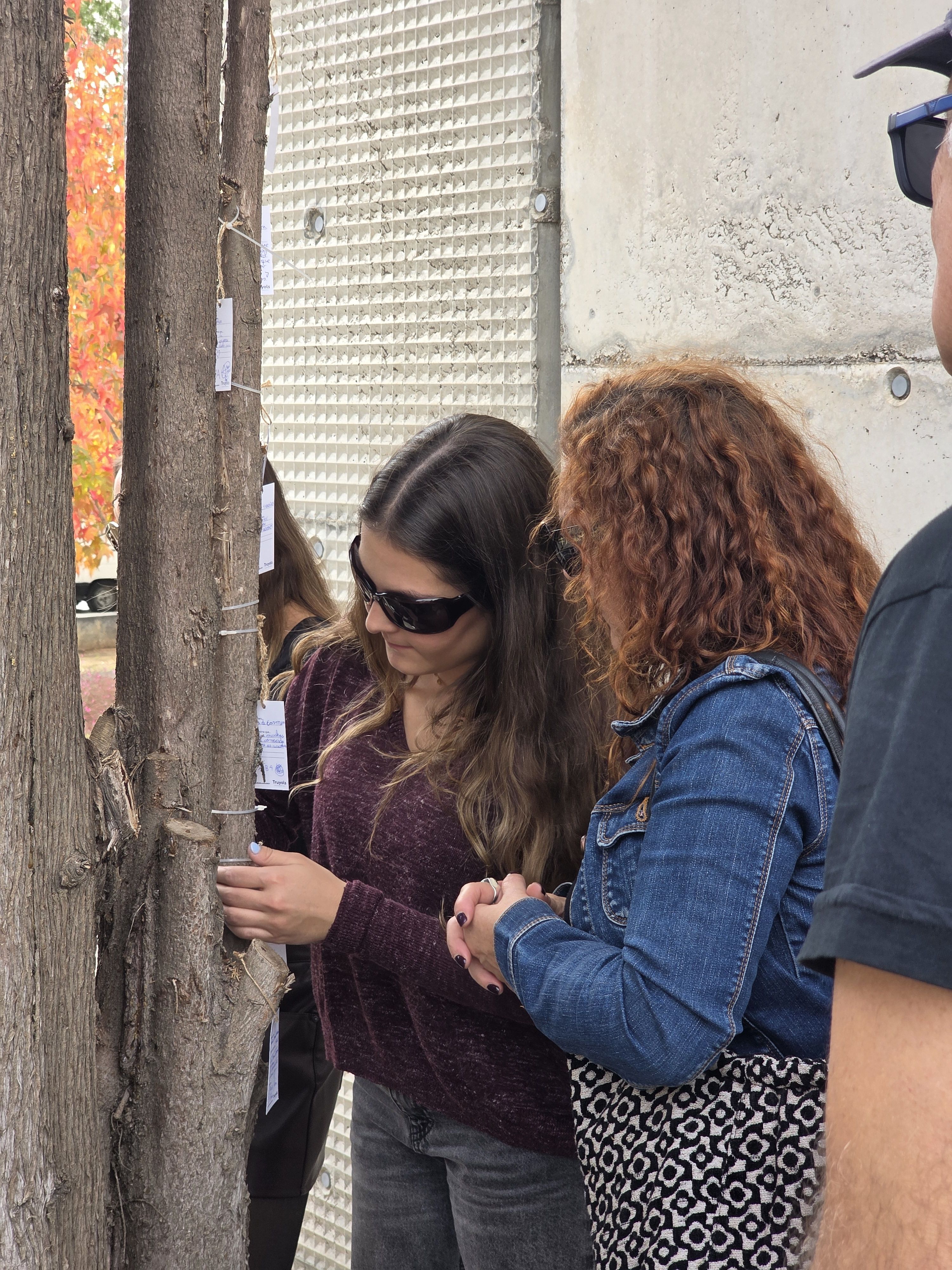 Dia de Tots Sants al cementiri municipal  Foto: Marc Mata