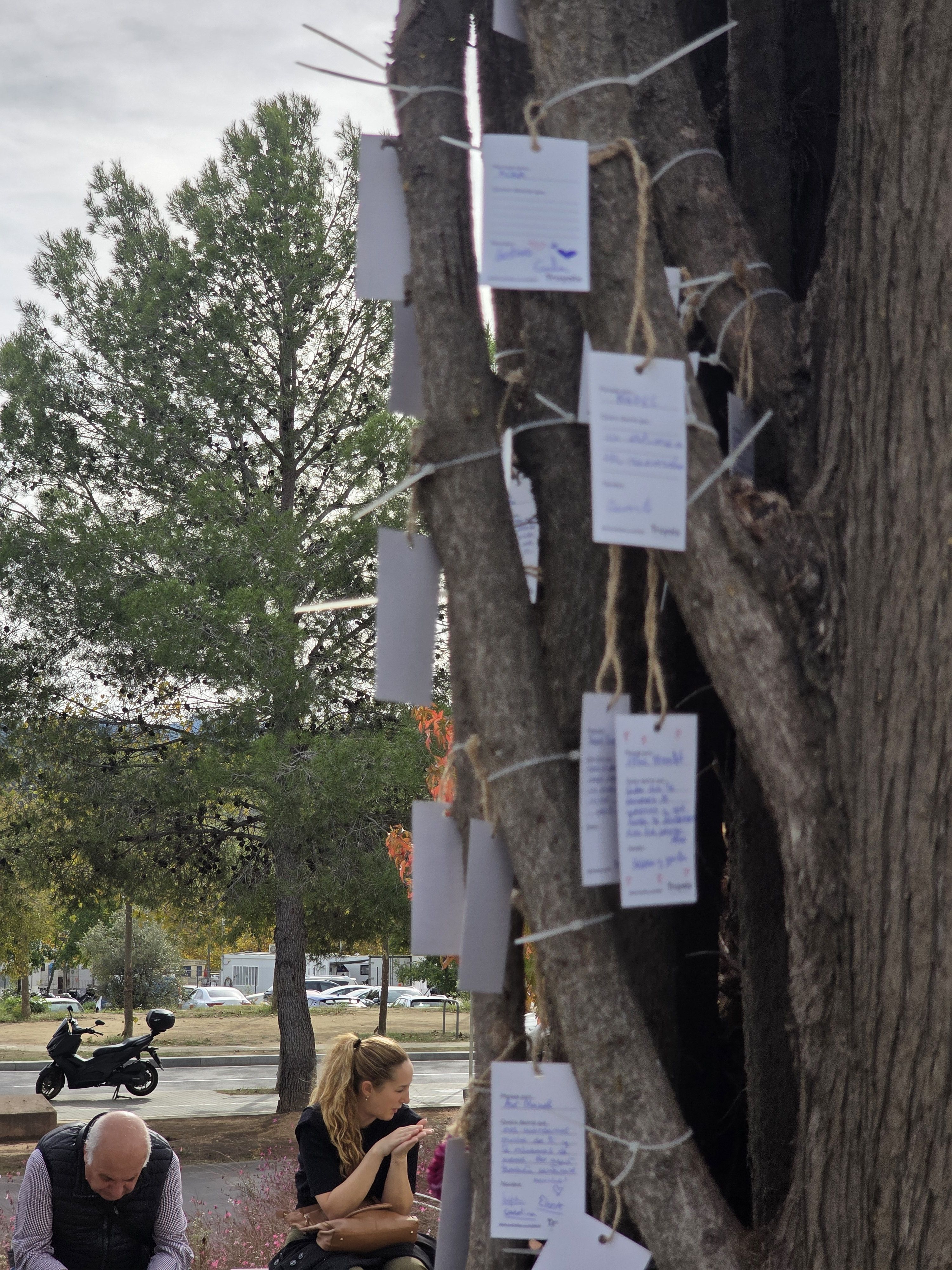 Dia de Tots Sants al cementiri municipal  Foto: Marc Mata