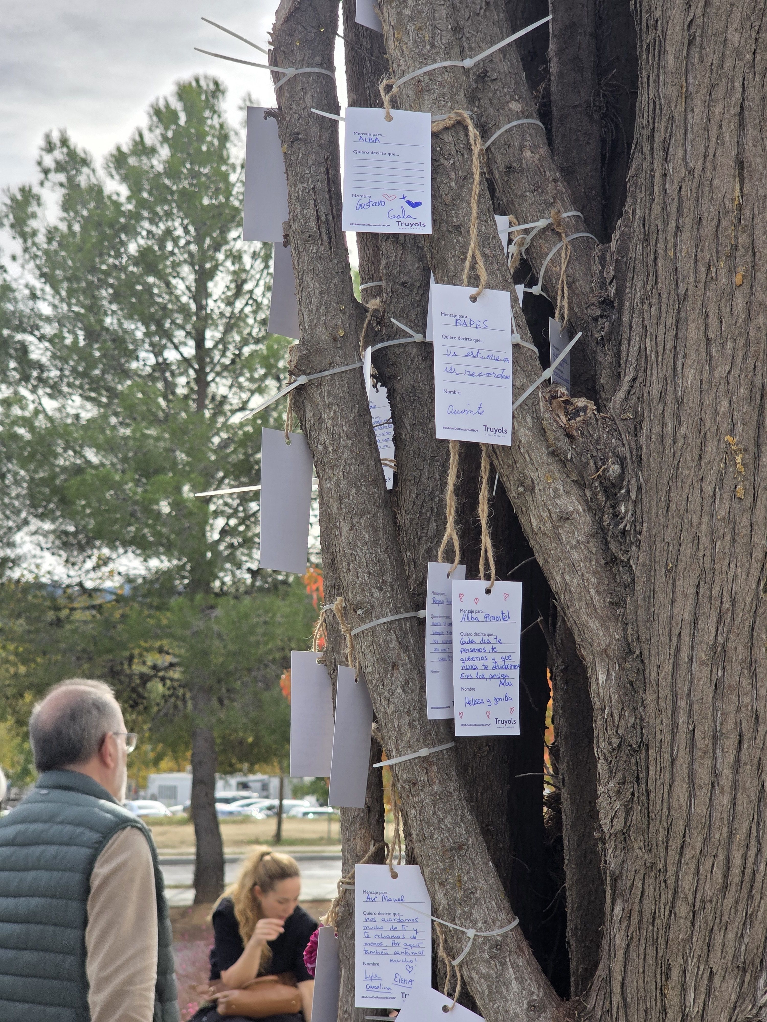 Dia de Tots Sants al cementiri municipal  Foto: Marc Mata