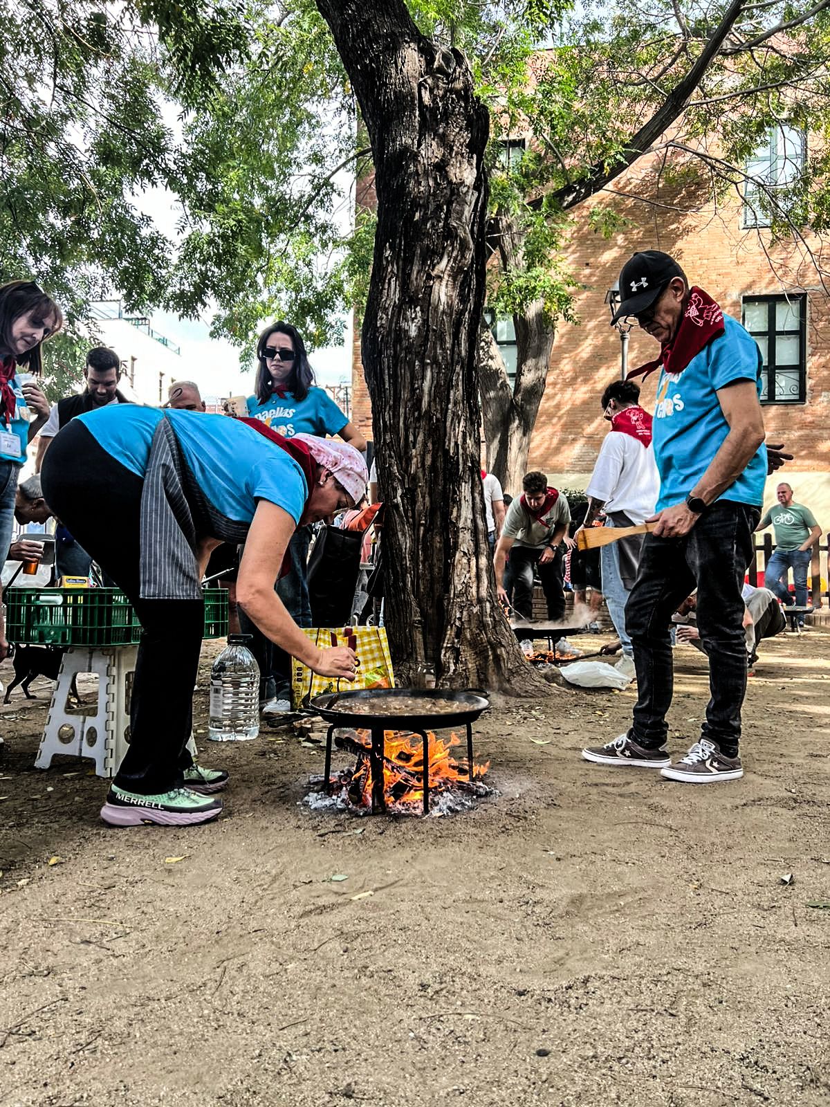 Nou èxit del concurs de paelles d'arròs. Foto: Marc Mata