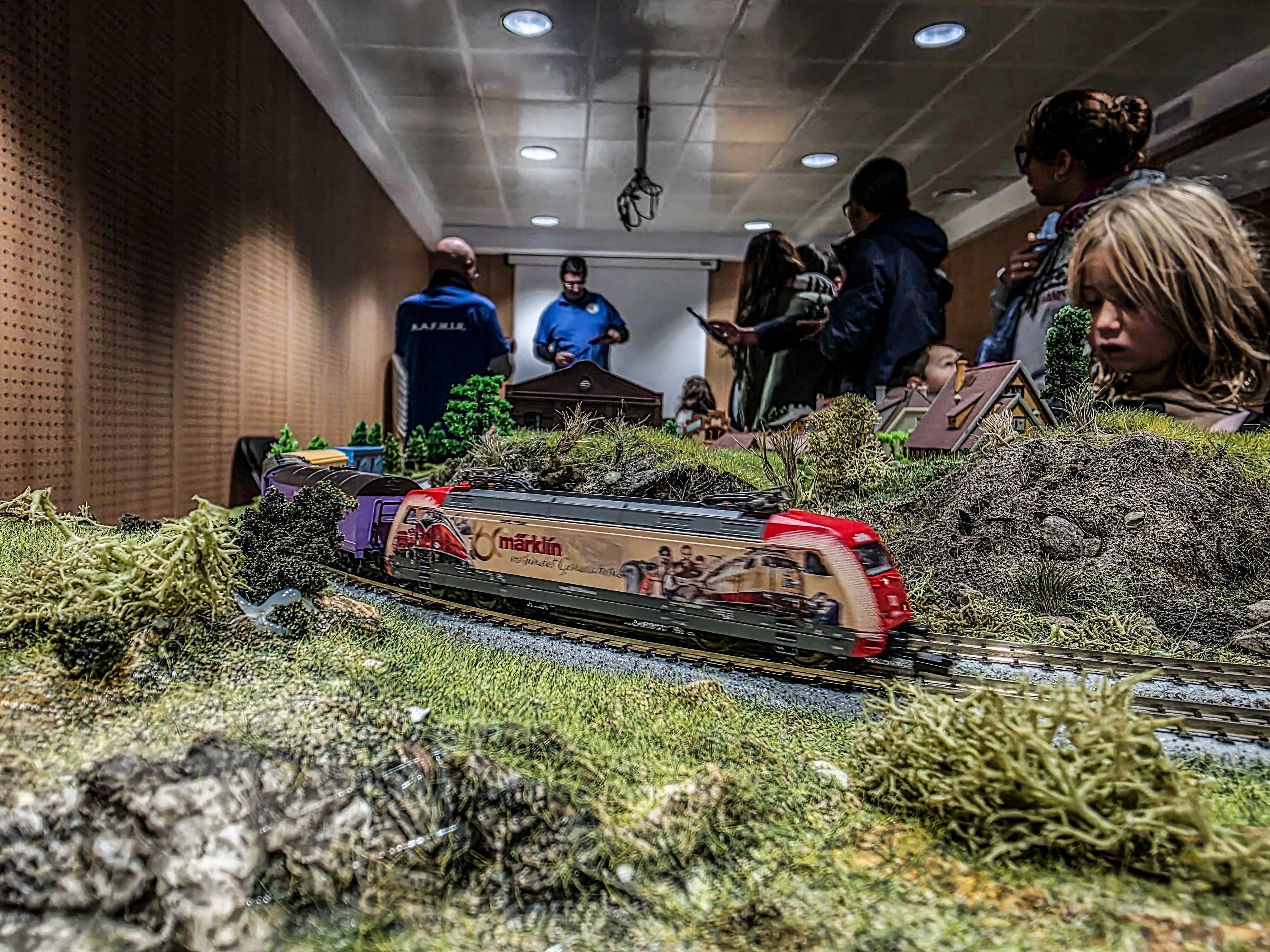 Paisatges en miniatura. Foto: Marc Mata