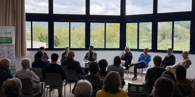 fee60bba 8ffc 4c52 8c60 de8e9a1c012f