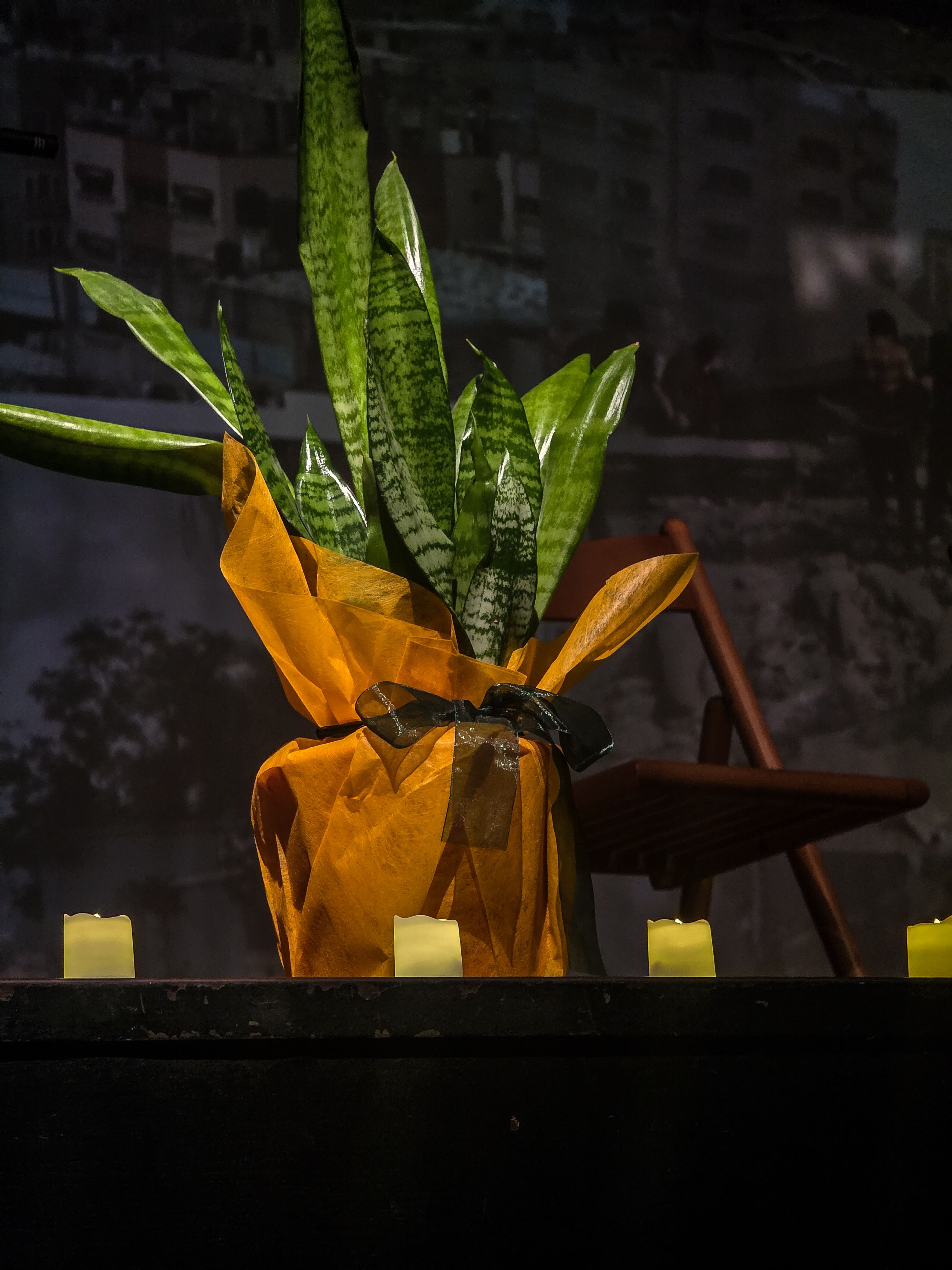 Reivindicació, música i poemes. FOTO: Marc Mata