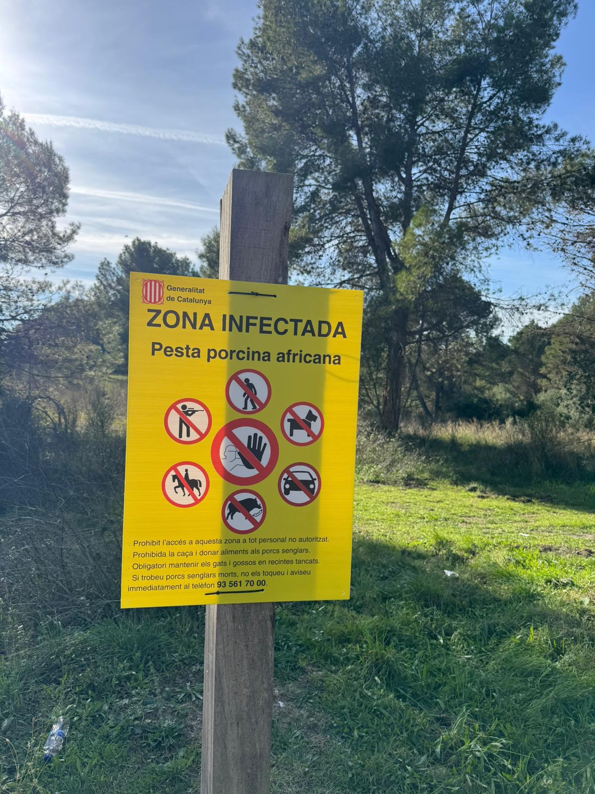 El Govern demana a l'Estat mobilitzar la unitat de control cinegètic de la UME per controlar la pesta porcina africana FOTO: Ajuntament de Cerdanyola