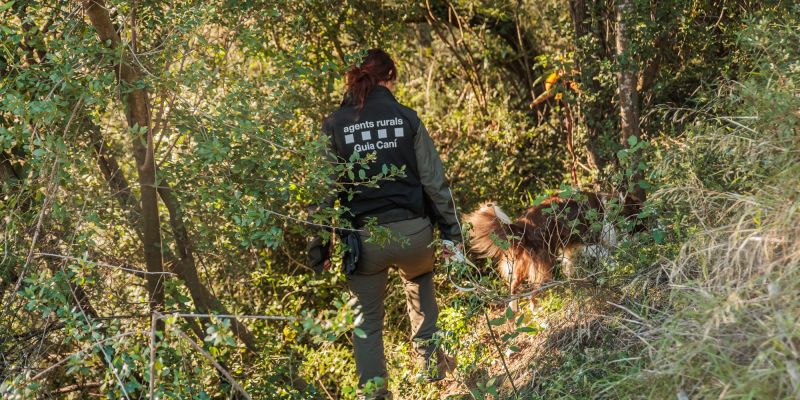 fa8535e3 1e19 4f9d a642 0b3f724791ea