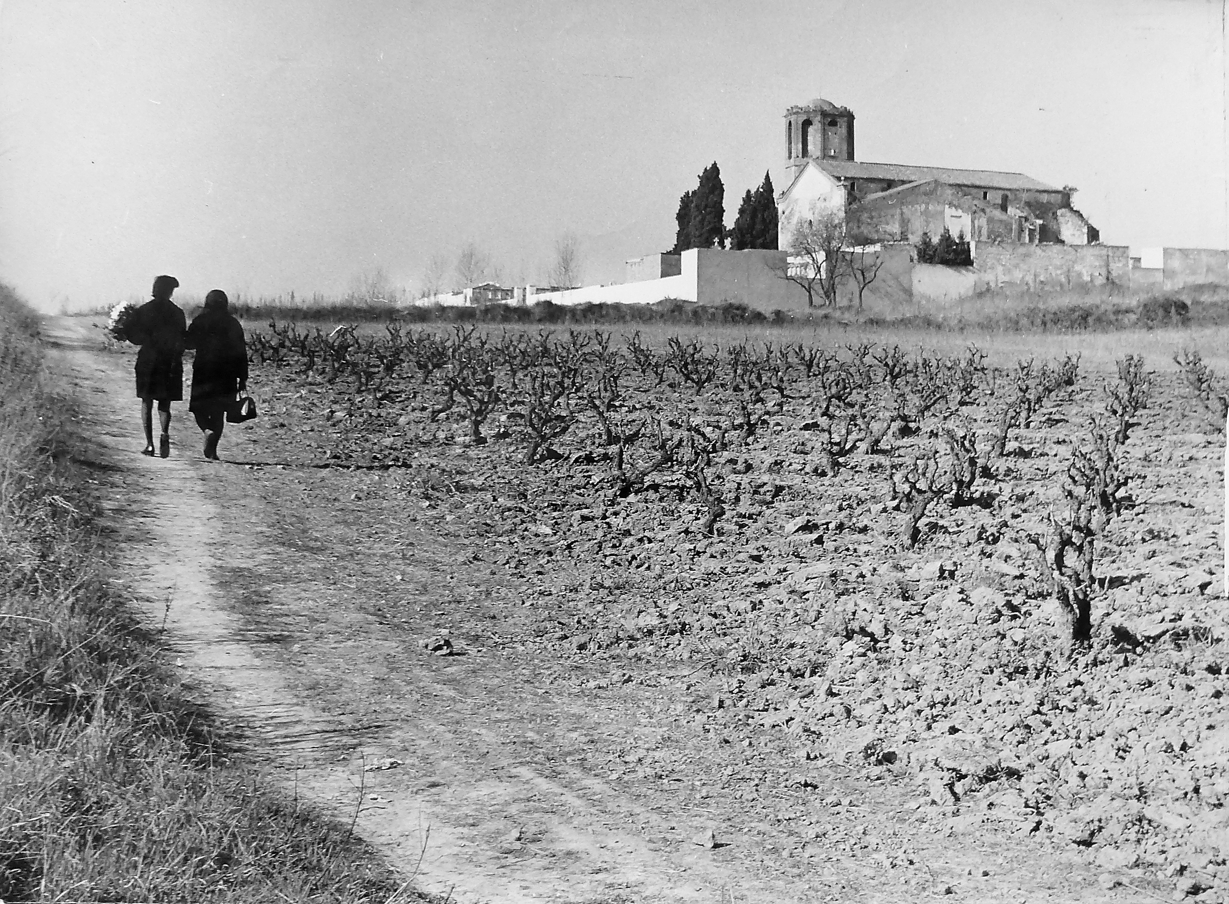 Una de les fotografies d'Albert Pueyo. L'exposició de l'Ateneu es pot visitar fins el 15 de desembre. FOTO: Albert Pueyo (cedida per AFOCER)