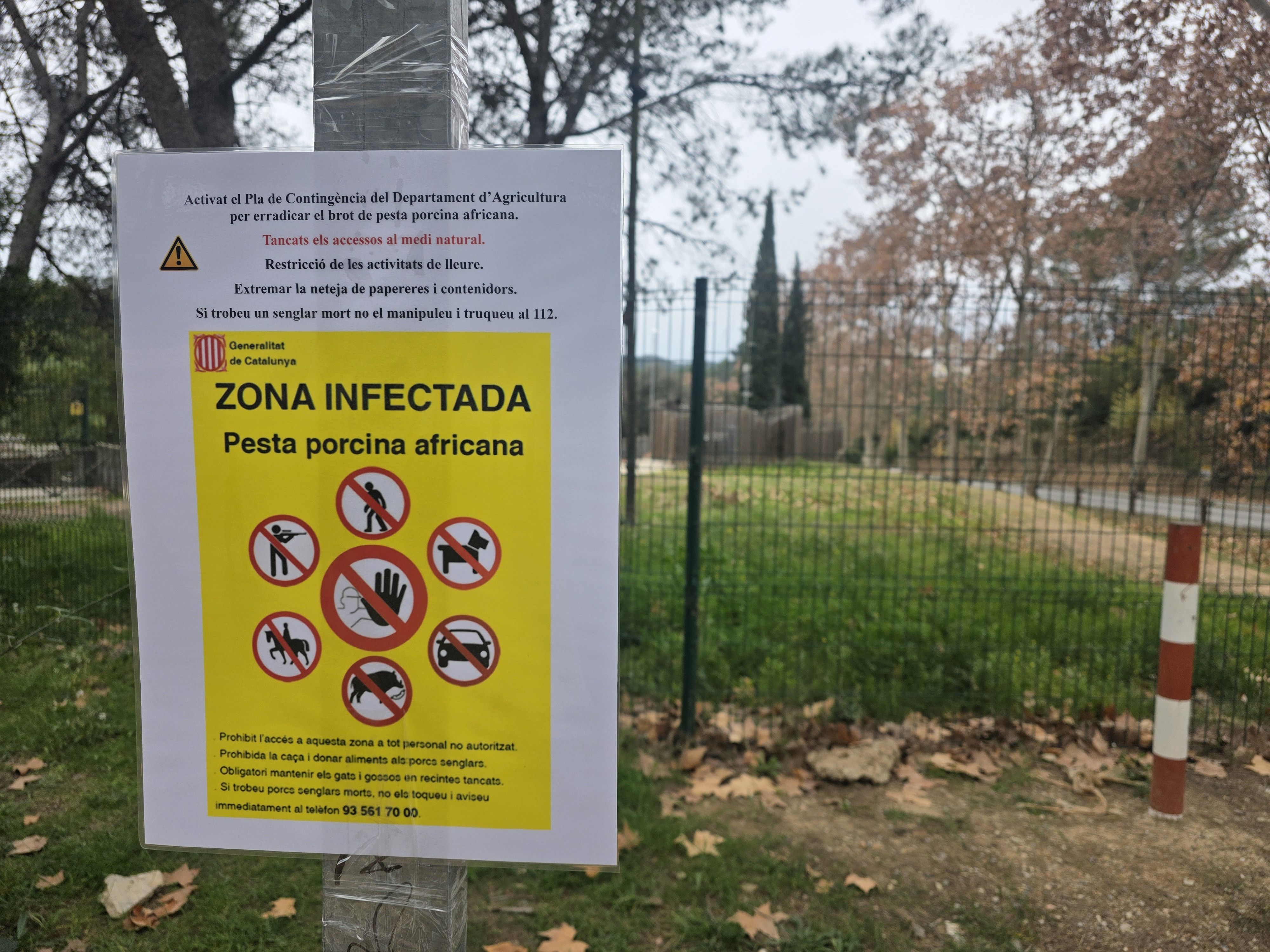 Collserola continua tancada per la pesta porcina. Foto: Marc Mata