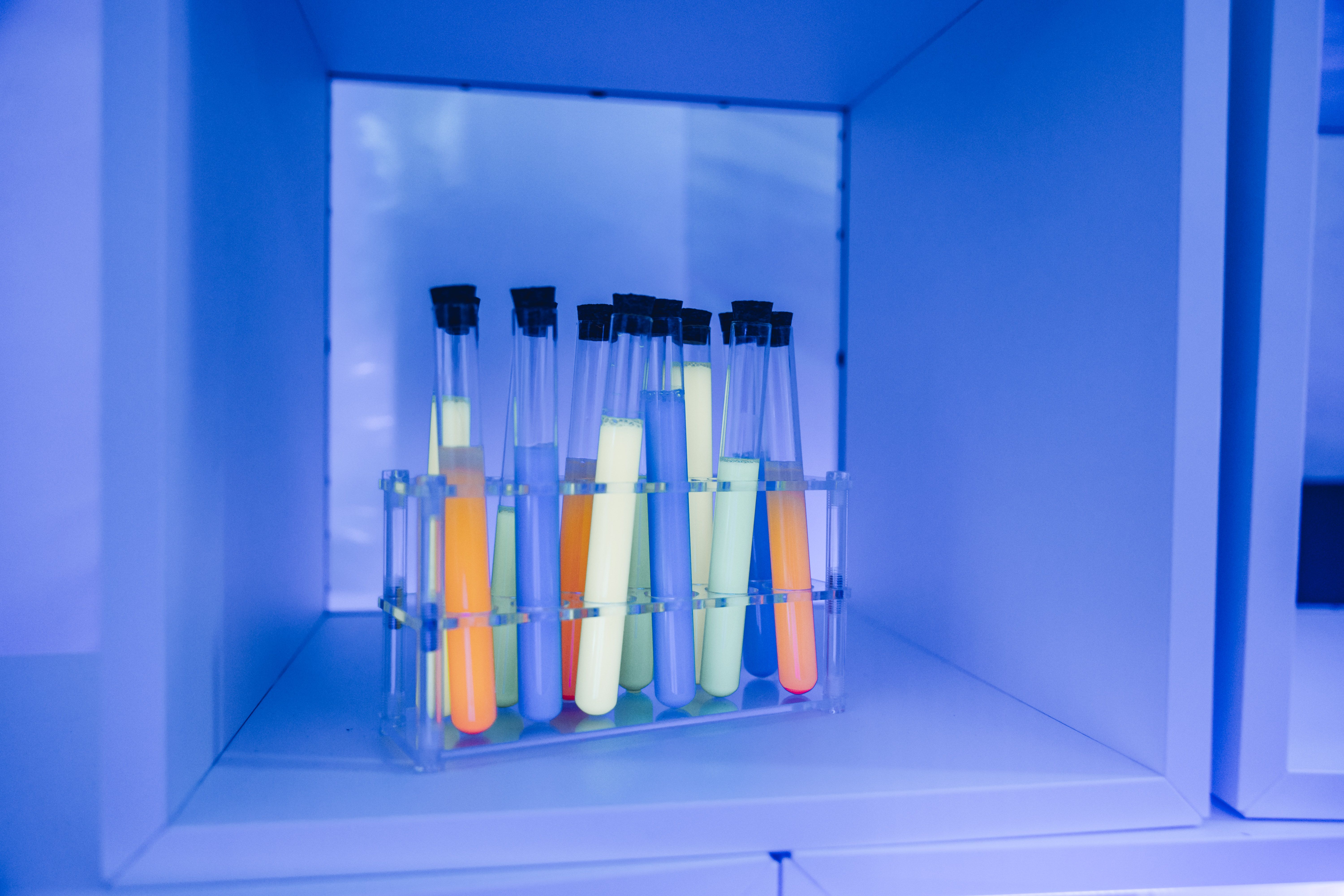 Al laboratori de llum de la Fada Alba, una de les noves atraccions, hi ha un munt d'estris preparats per fer experiments científics. FOTO: Arnau Padilla