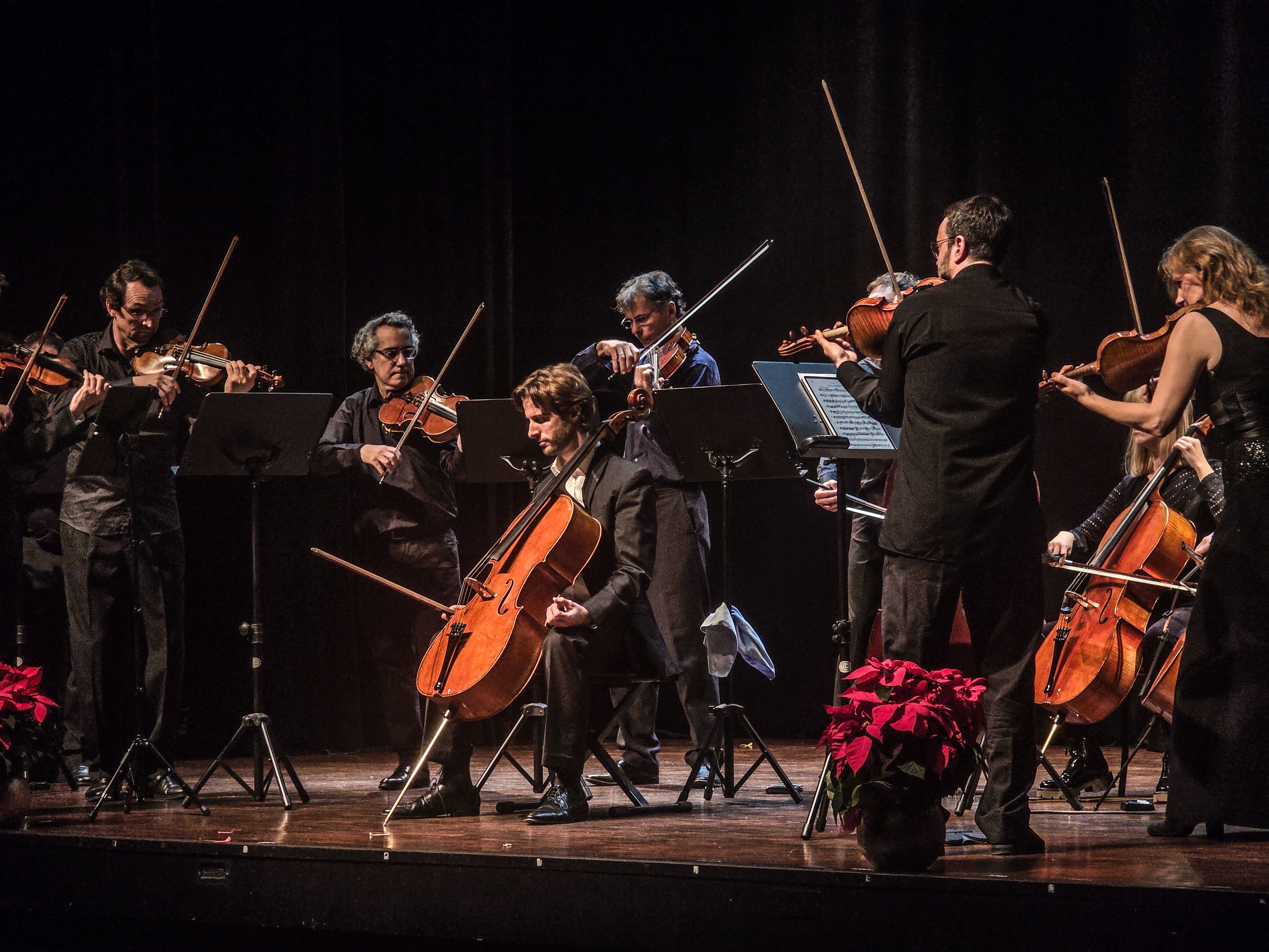 Concert de Nadal OCC. Foto: Marc Mata