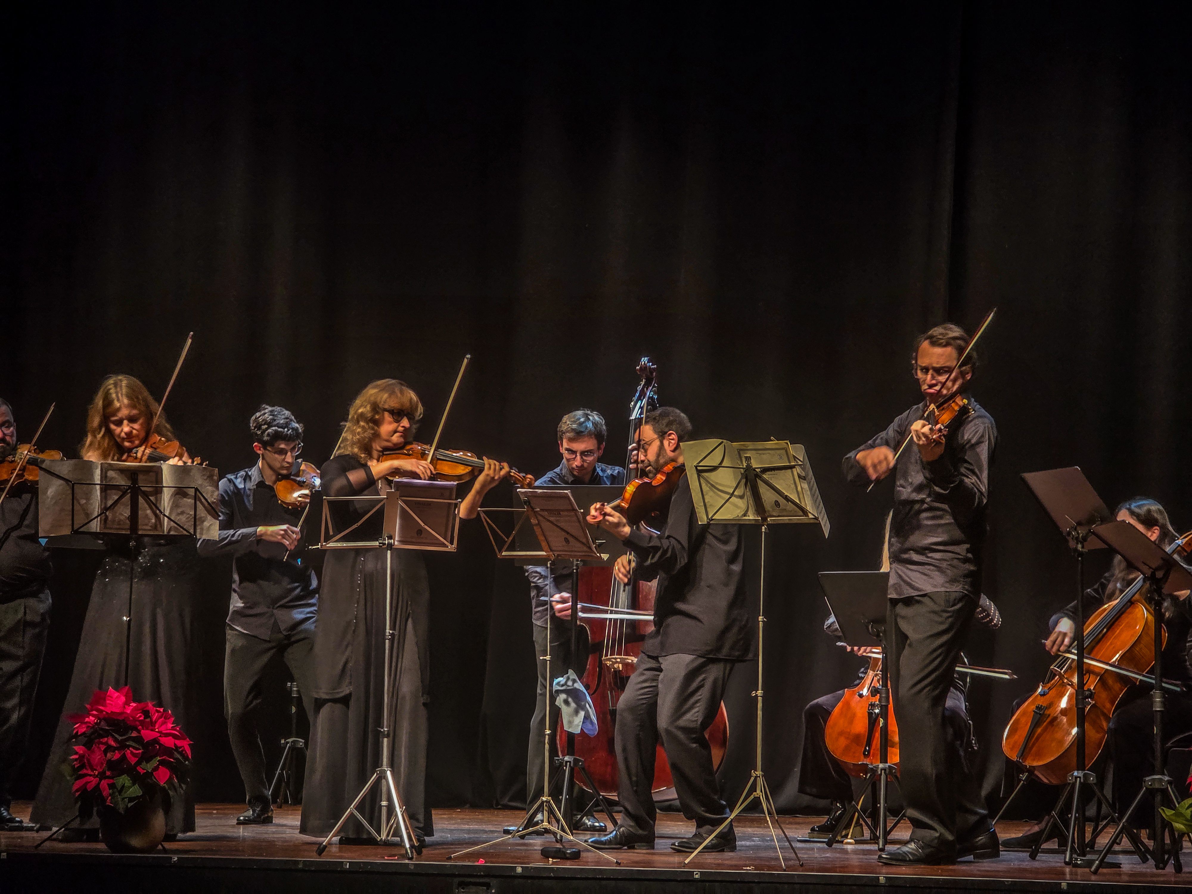 Concert de Nadal OCC. Foto: Marc Mata