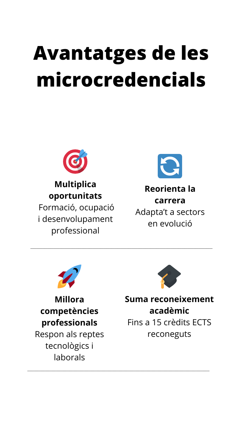 Copia de Copia de Pressupost 2025 (798 x 1391 px)