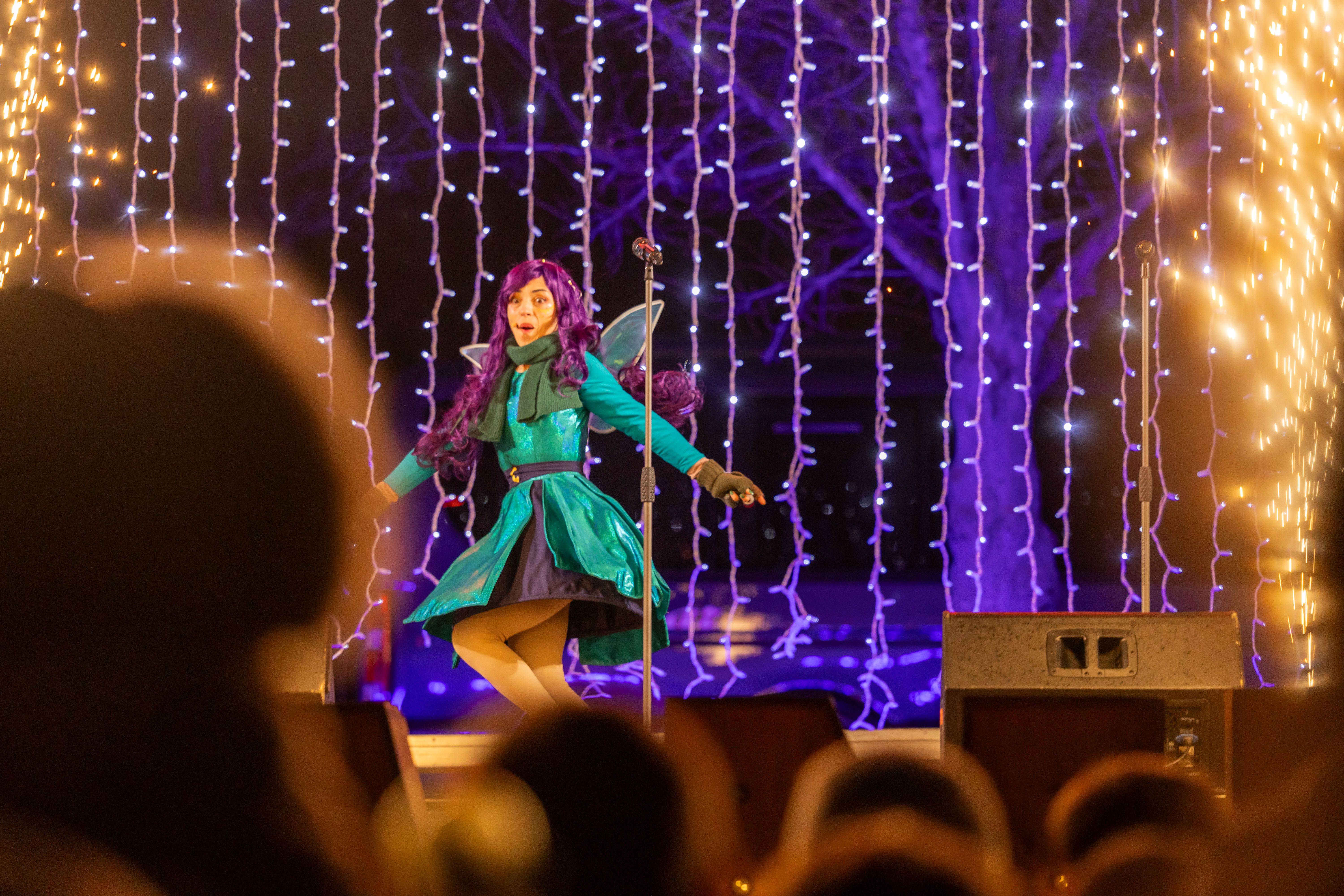 Actuació de la Fada Alba la nit de Reis (Arnau Padilla)