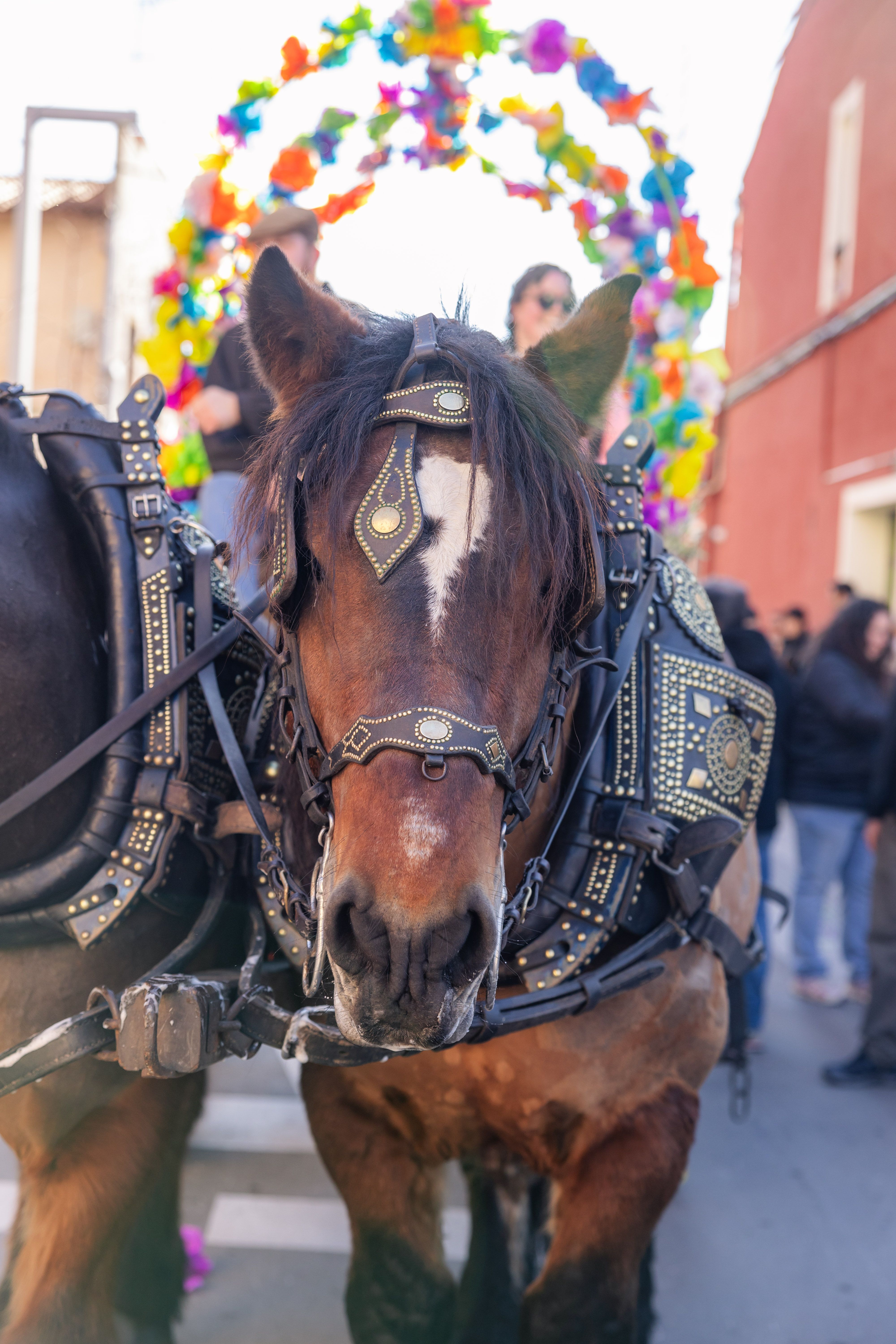 La passada dels Tres Tombs ha tornat a Cerdanyola. Foto: Arnau Padilla 