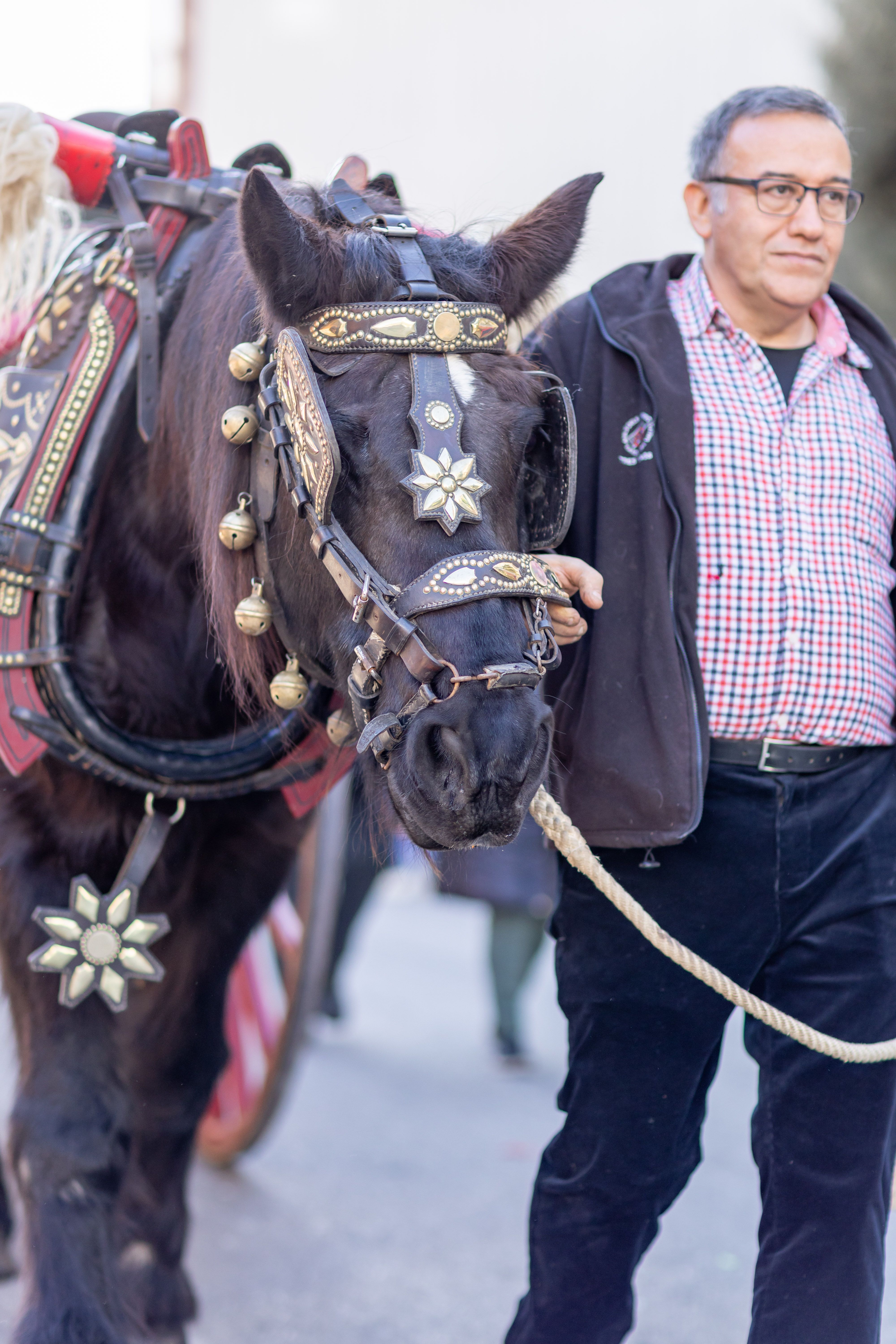 Grans ornaments. Foto: Arnau Padilla