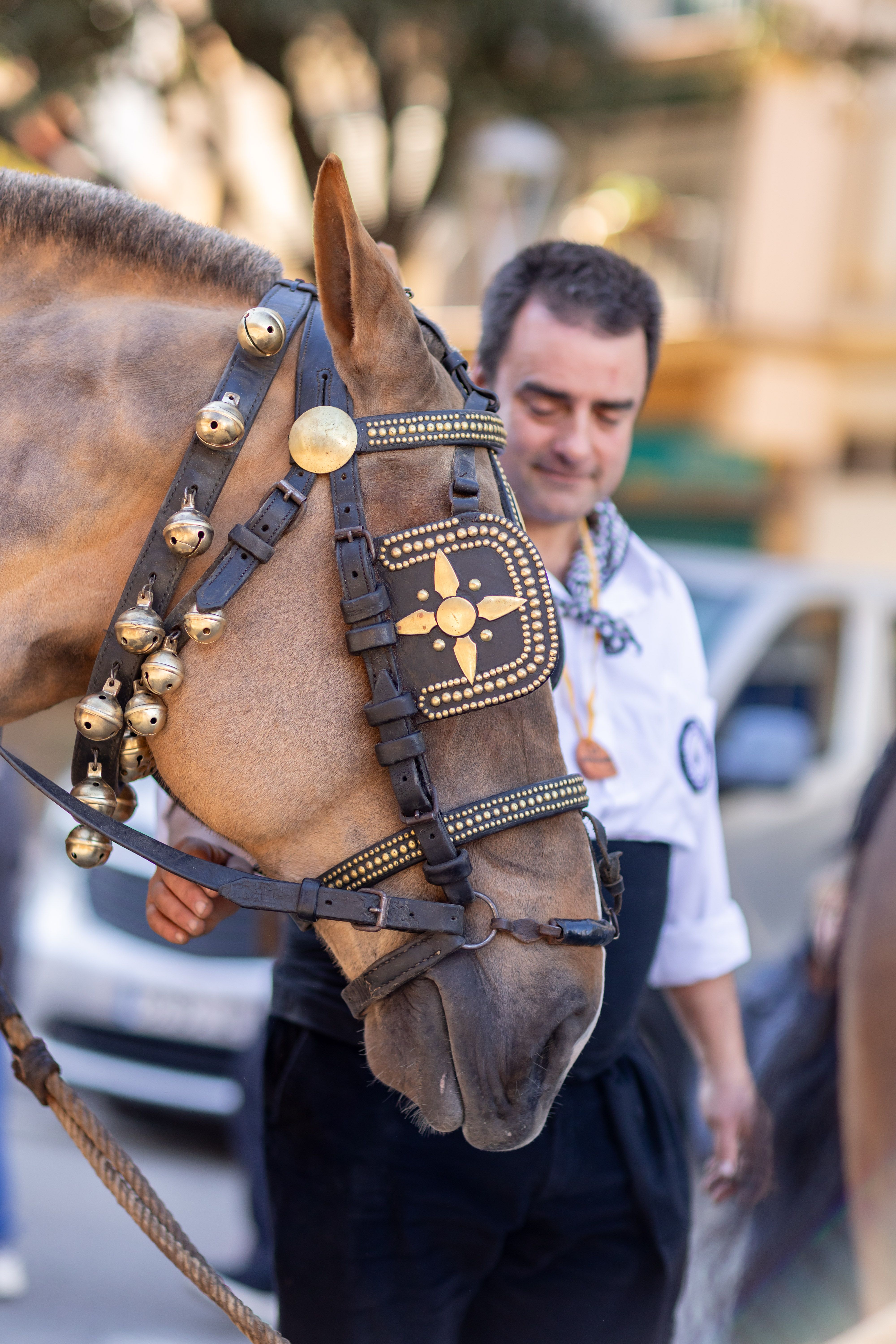 Grans ornaments. Foto: Arnau Padilla