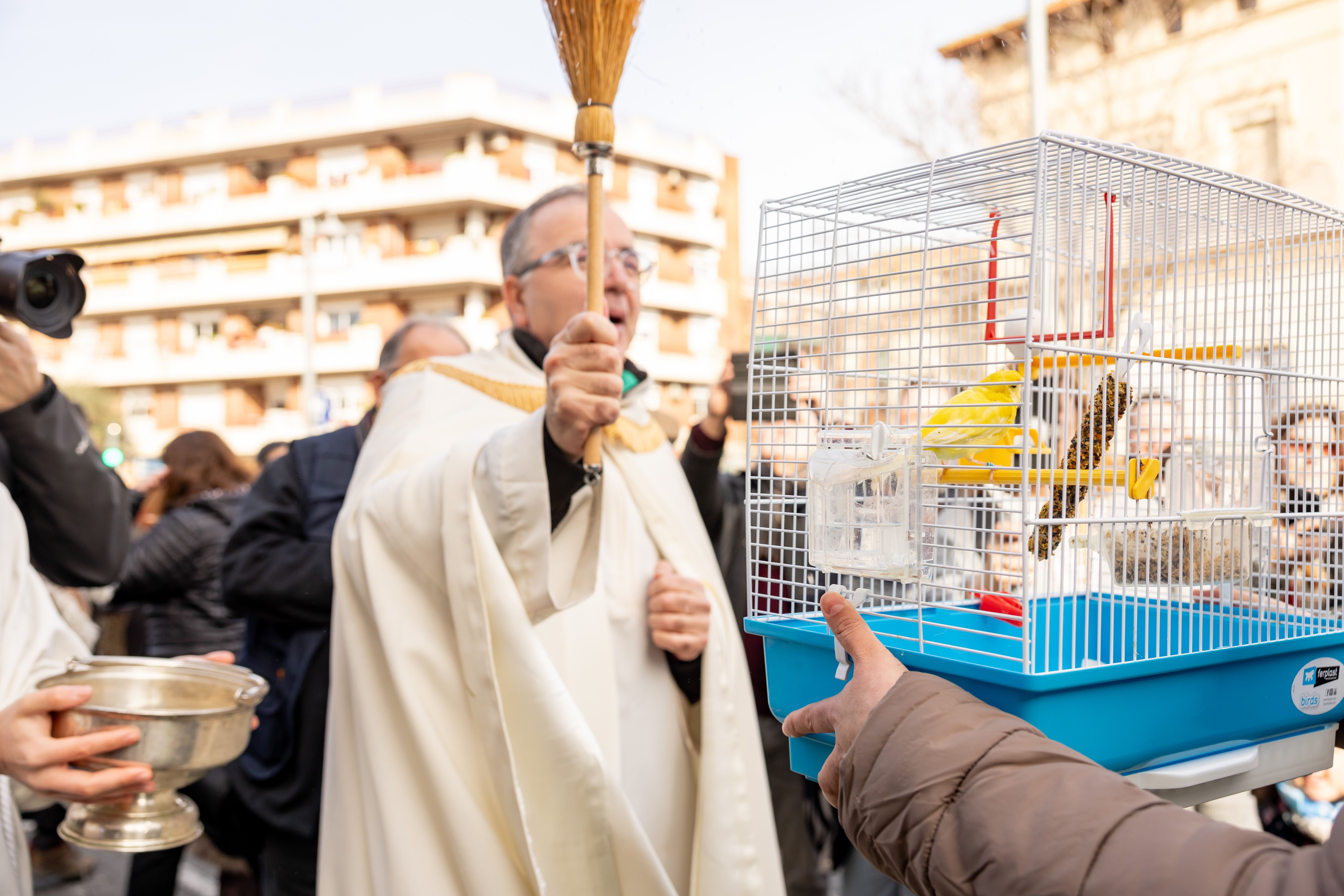 Benedicció dels animals. Foto: Arnau Padilla
