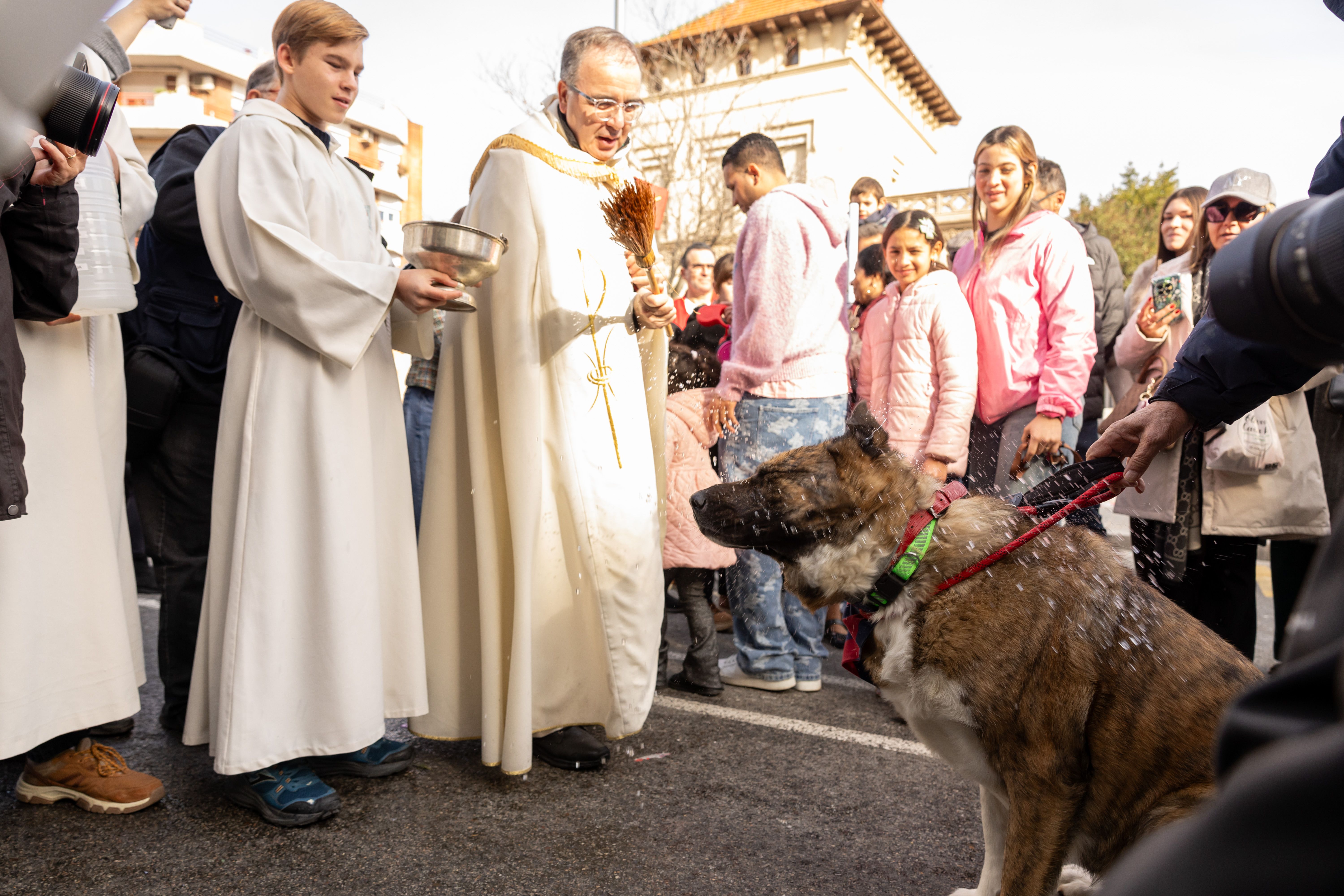 Benedicció dels animals. Foto: Arnau Padilla