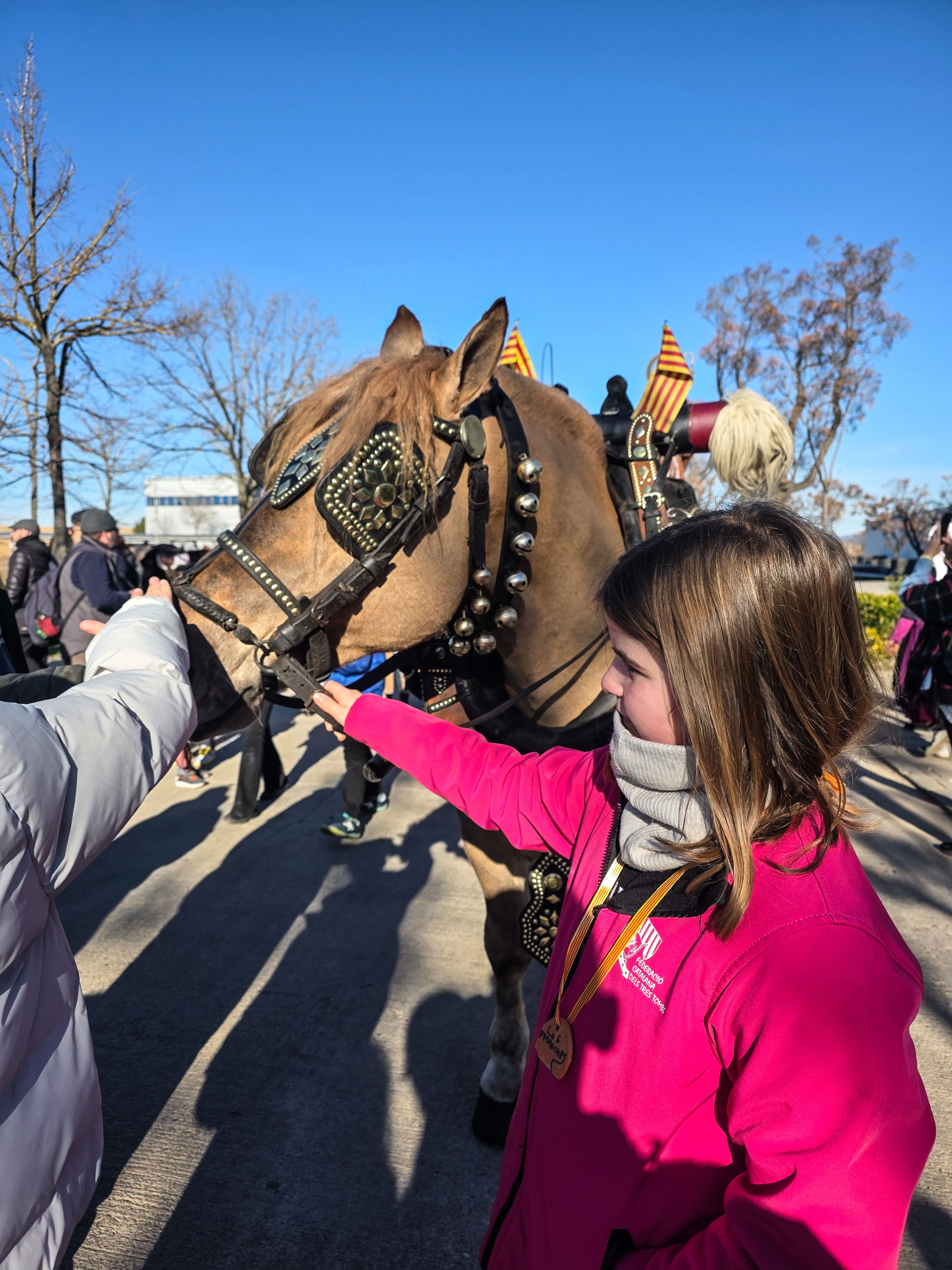 Connexió entre ésser humà i un cavall. Foto: Marc Mata