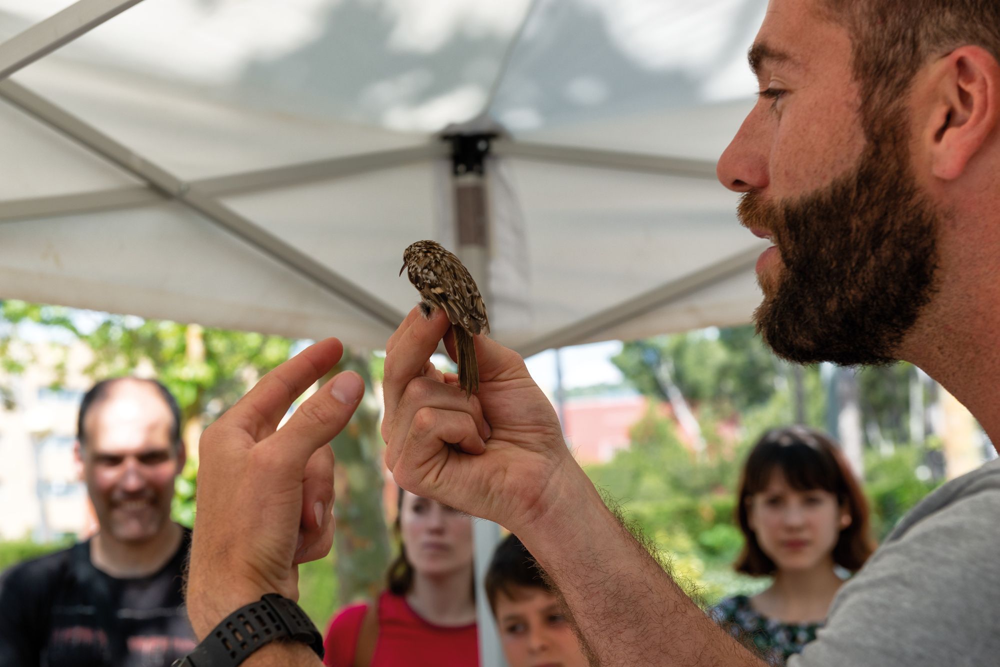 El cicle d'activitats a parcs, rius i platges metropolitanes combina itineraris guiats, tallers i accions de ciència ciutadana. FOTO: AMB (cedida)