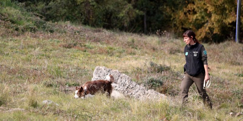 d0eb2357 3357 4a37 a6ae b9c49cf960d5