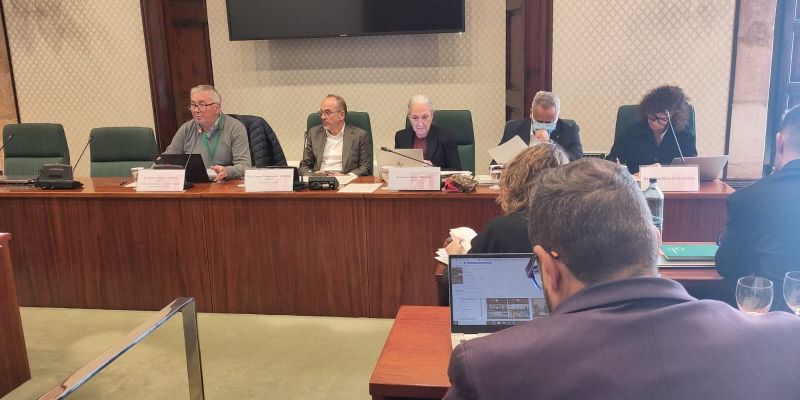 La plataforma presenta la seva demanda als grups parlamentaris. Foto: Plataforma en defensa sanitat pública