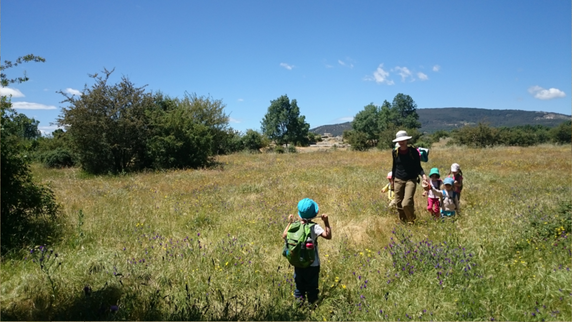 Boscescola Cerceda a Madrid. Foto: Cedida