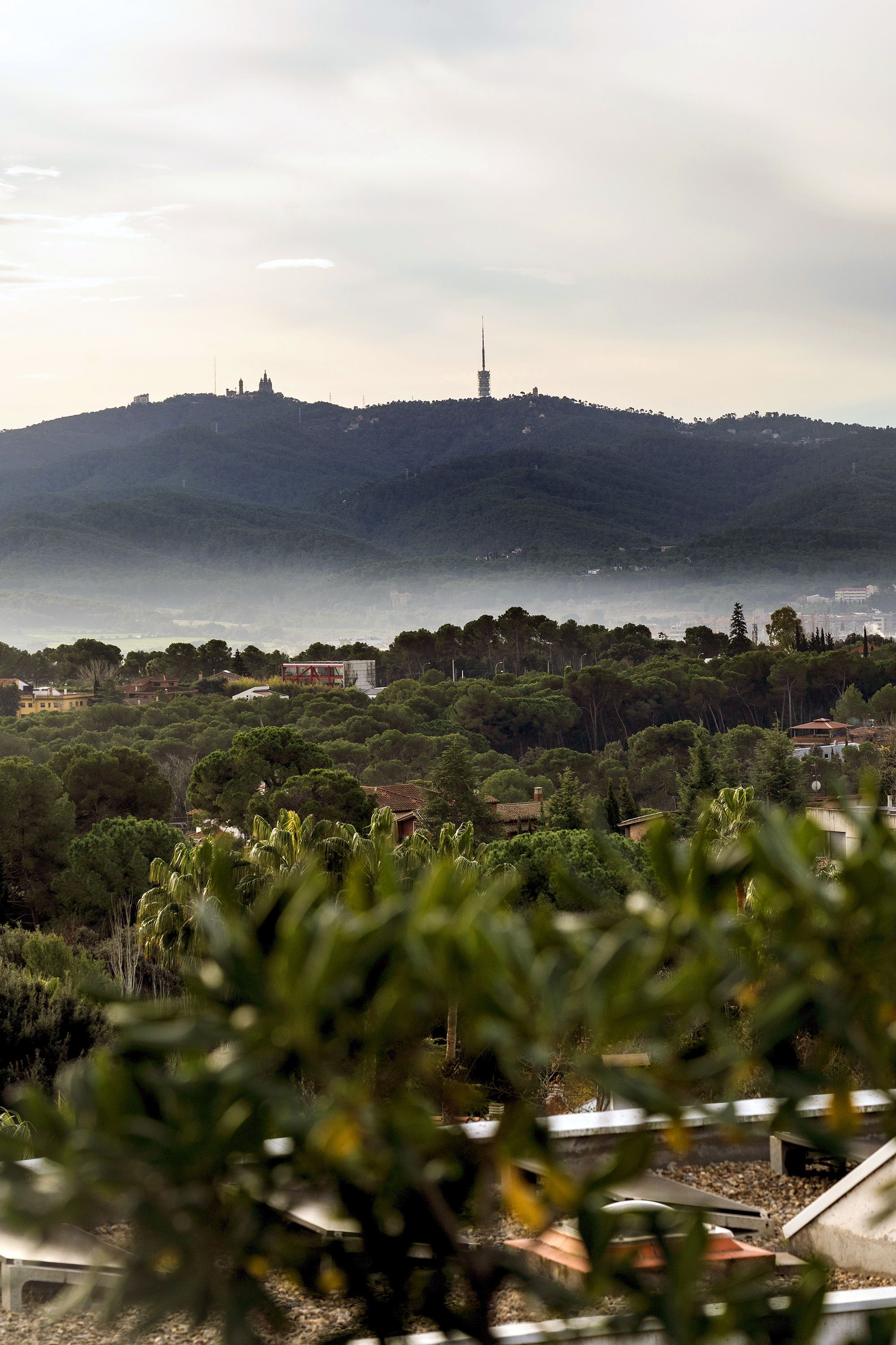 Vistes de Collserola des de Bellaterra. FOTO: Mireia Comas