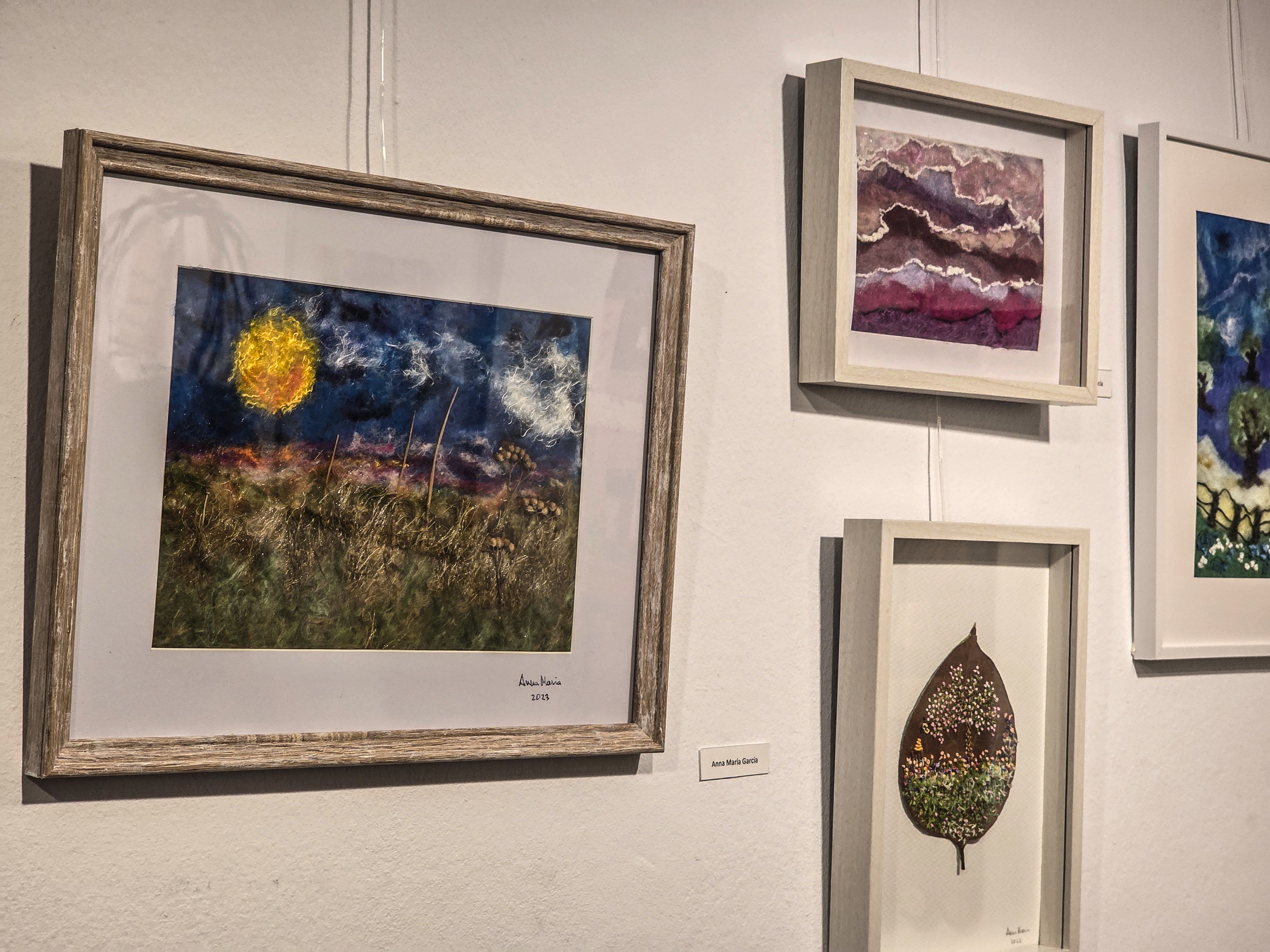 L'Associació d'Artistes Plàstics inaugura les tapisseres. Foto: Marc Mata