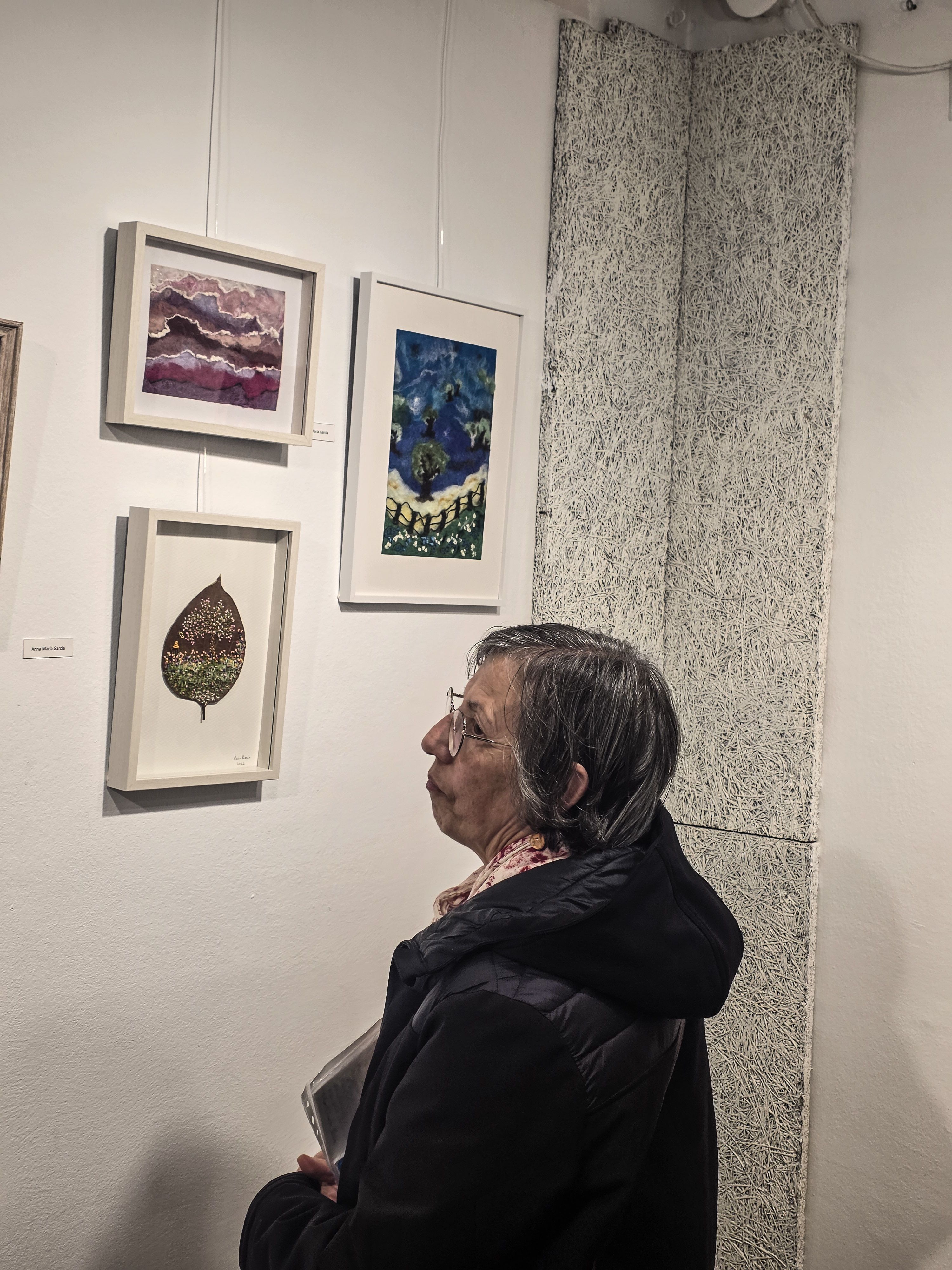 L'Associació d'Artistes Plàstics inaugura les tapisseres. Foto: Marc Mata