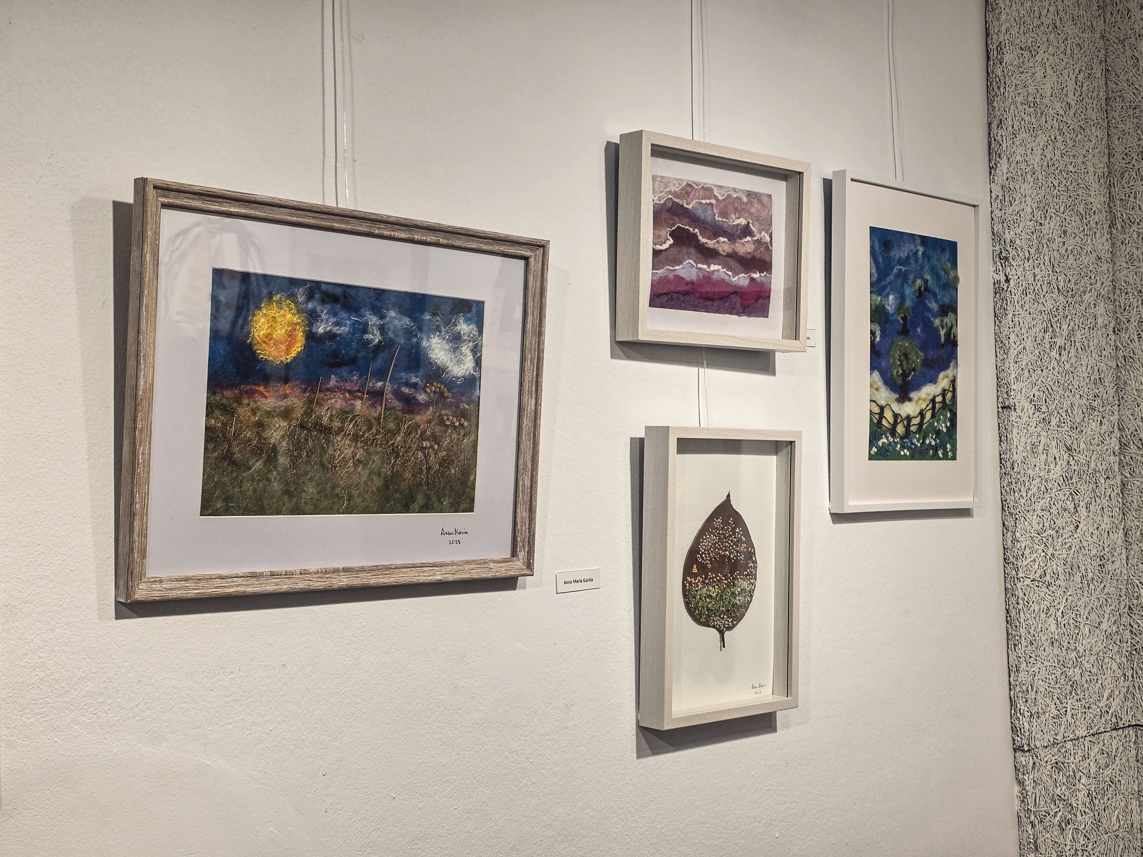 L'Associació d'Artistes Plàstics inaugura les tapisseres. Foto: Marc Mata