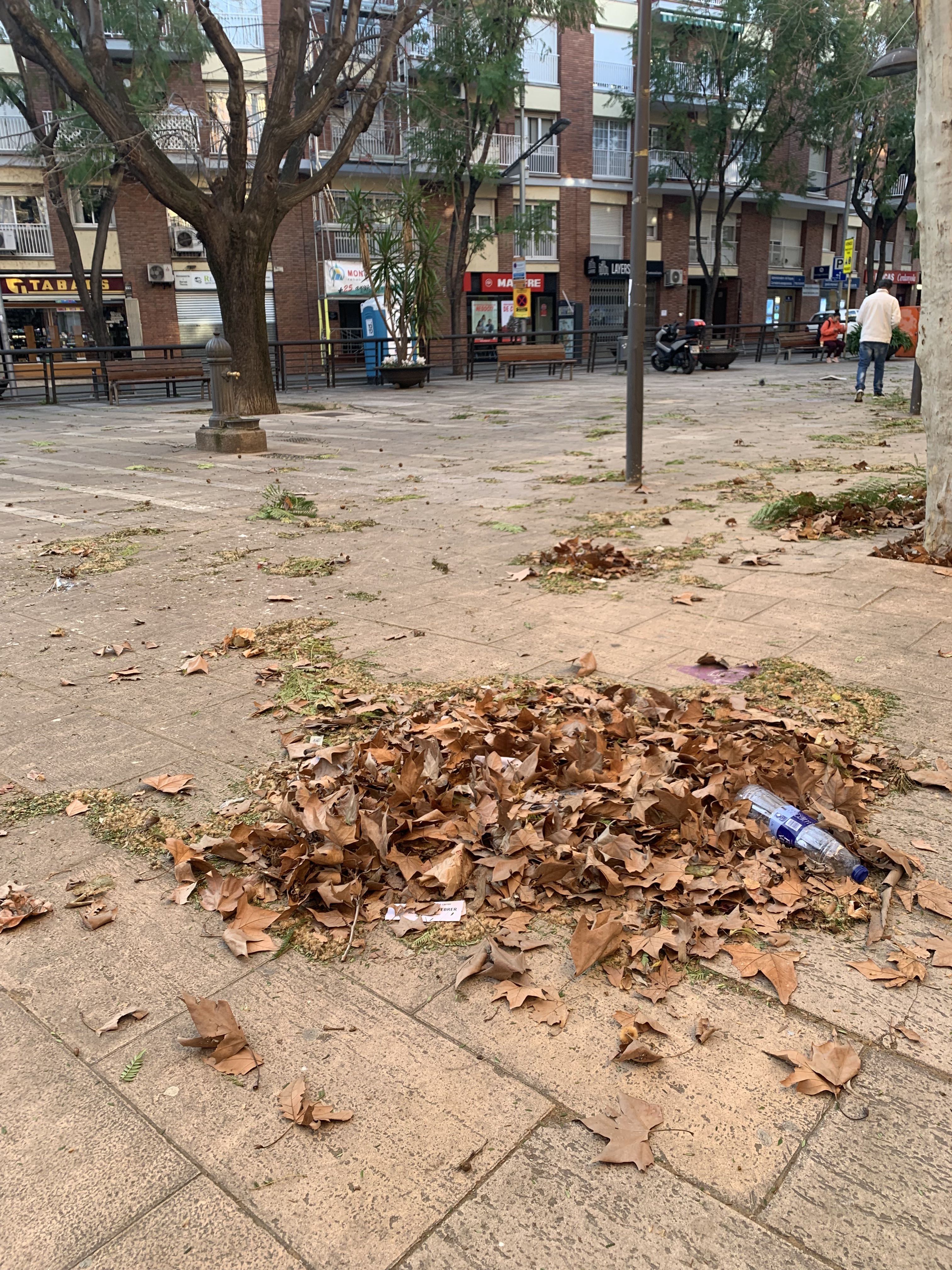 La plaça d'Enric Granados, plena de fulles caigudes pel vent. FOTO: Judit Josa
