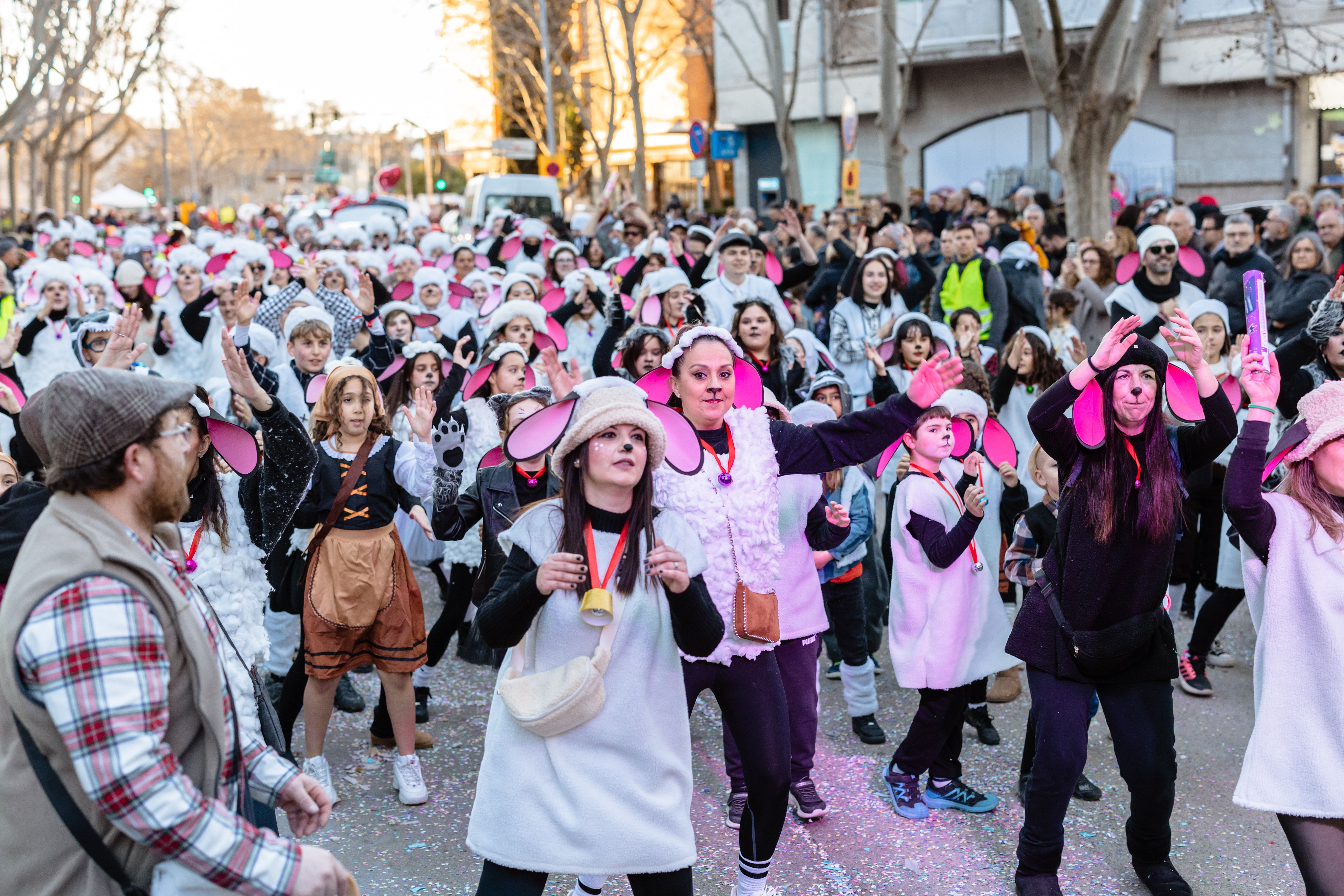 Les ovelles de Serraparera. Foto: Arnau Padilla
