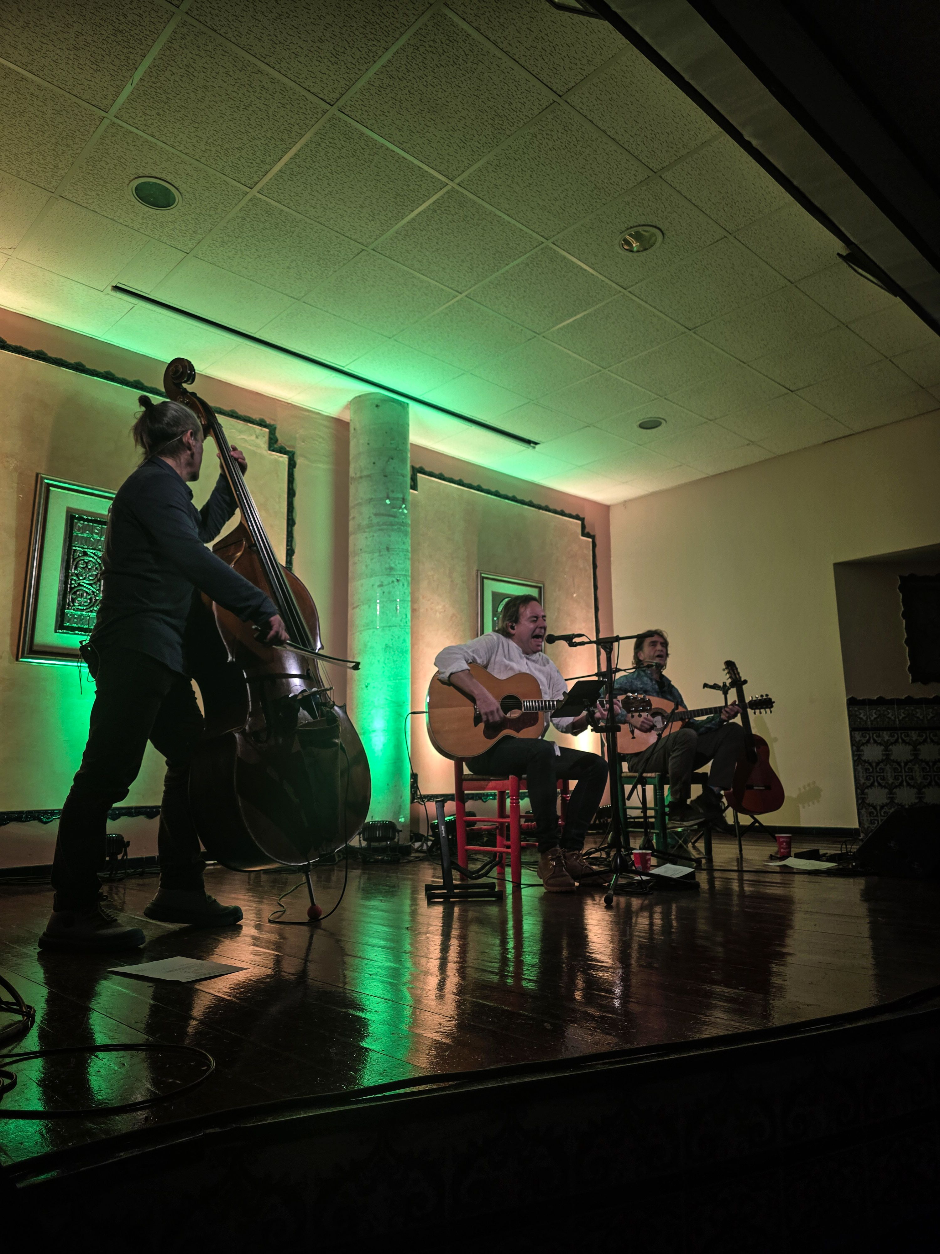 Charada Trio obre el XV Cicle de Música de Cambra de Cerdanyola.FOTO: Marc Mata