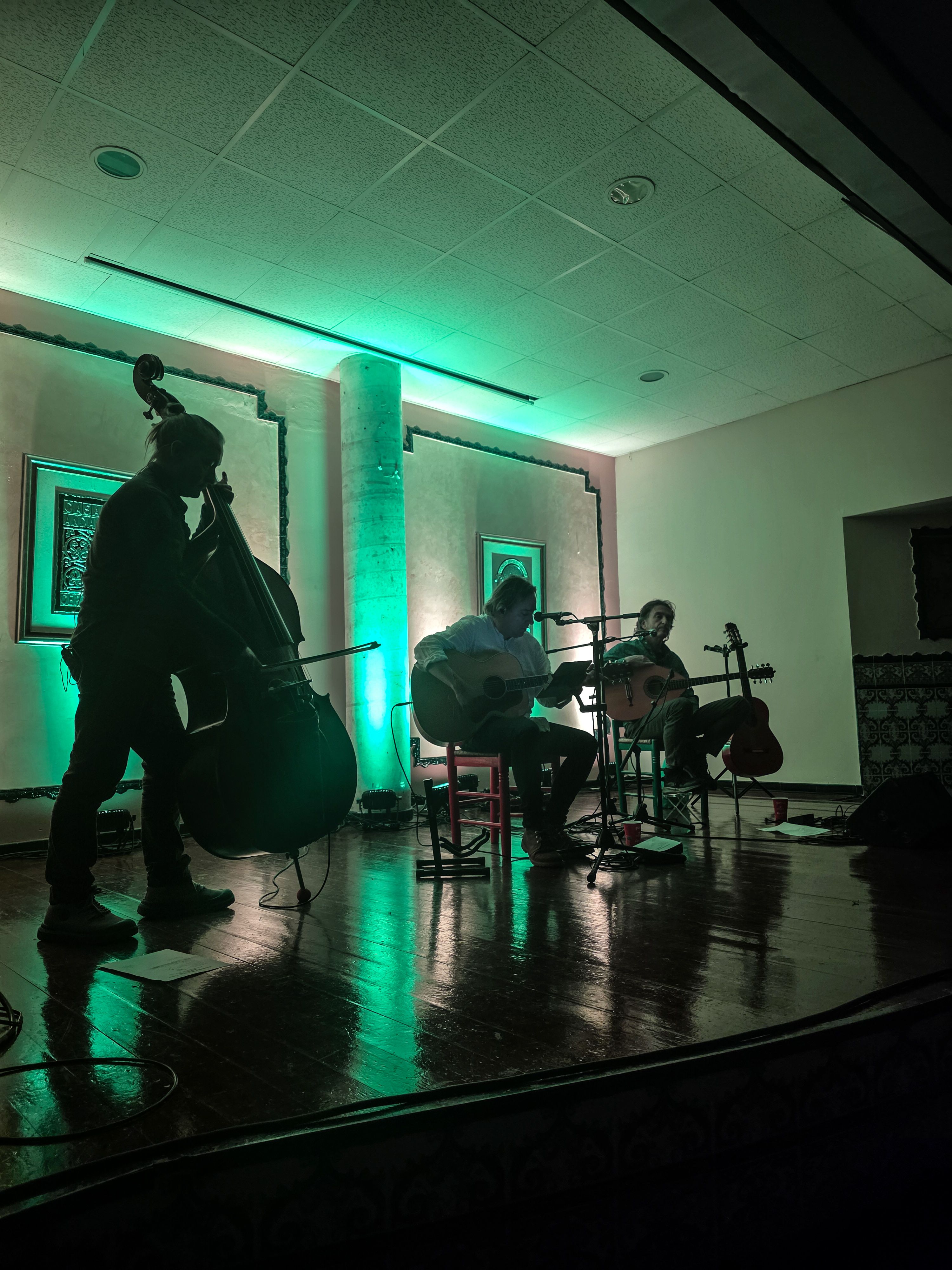 Charada Trio obre el XV Cicle de Música de Cambra de Cerdanyola.FOTO: Marc Mata