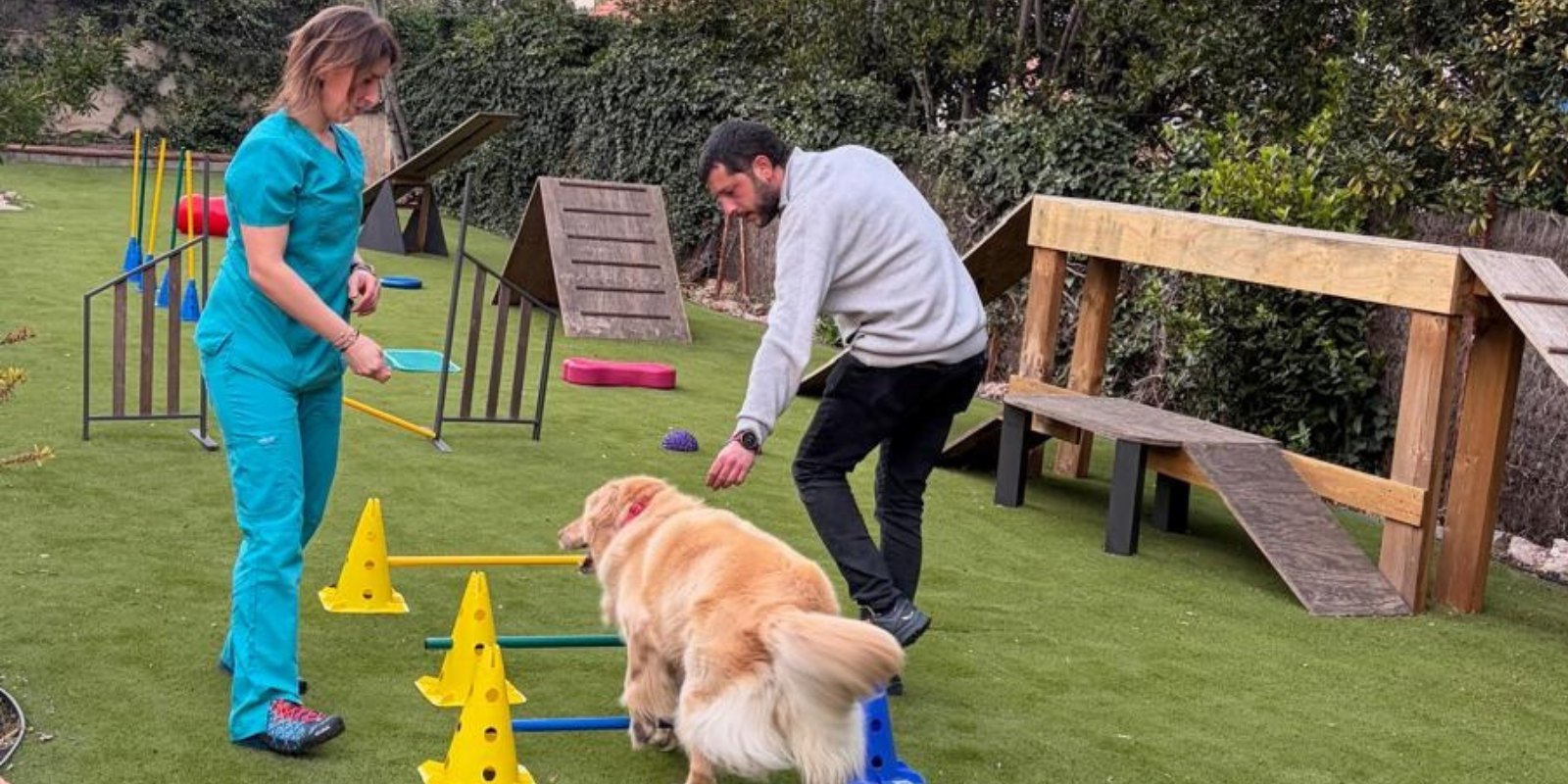 Veterium, especialistes en rehabilitació i fisioteràpia i unitat del dolor per a animals a Sant Cugat. FOTO: Cedida