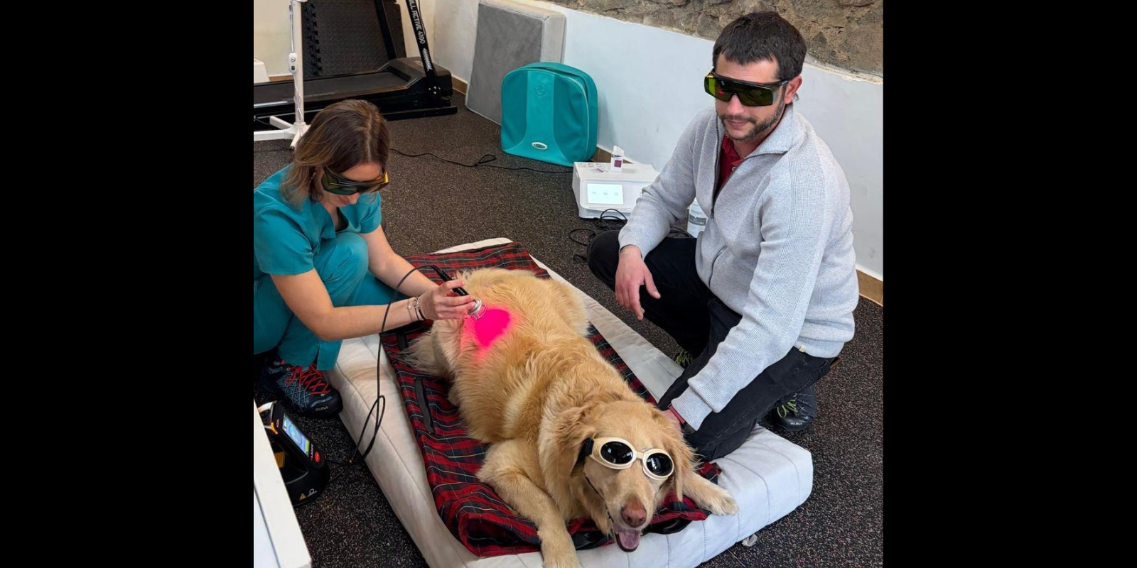 Veterium, especialistes en rehabilitació i fisioteràpia i unitat del dolor per a animals a Sant Cugat. FOTO: Cedida