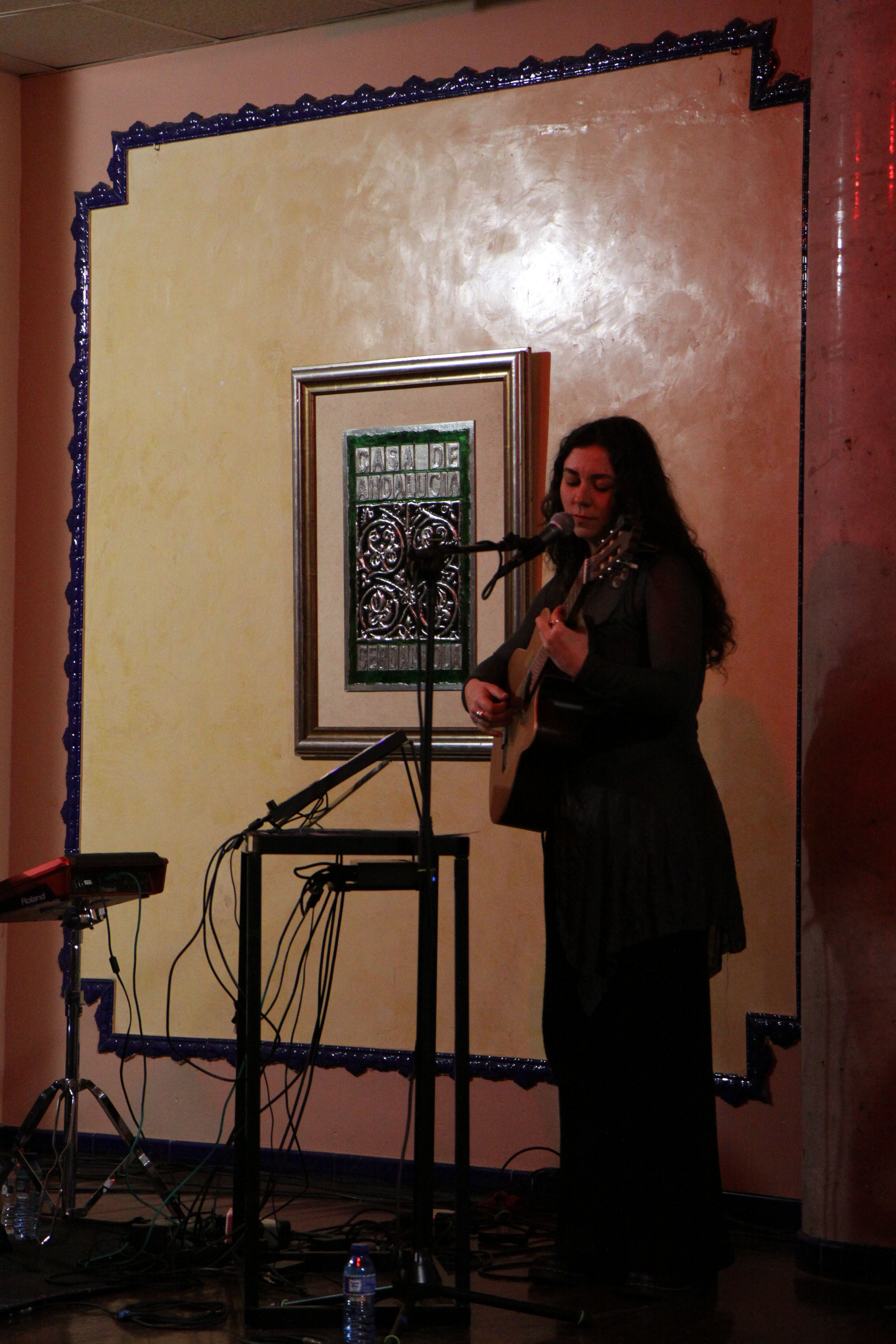 Nara Ellis tanca el XV Cicle de Música de Cambra. Foto: Laia Jubany